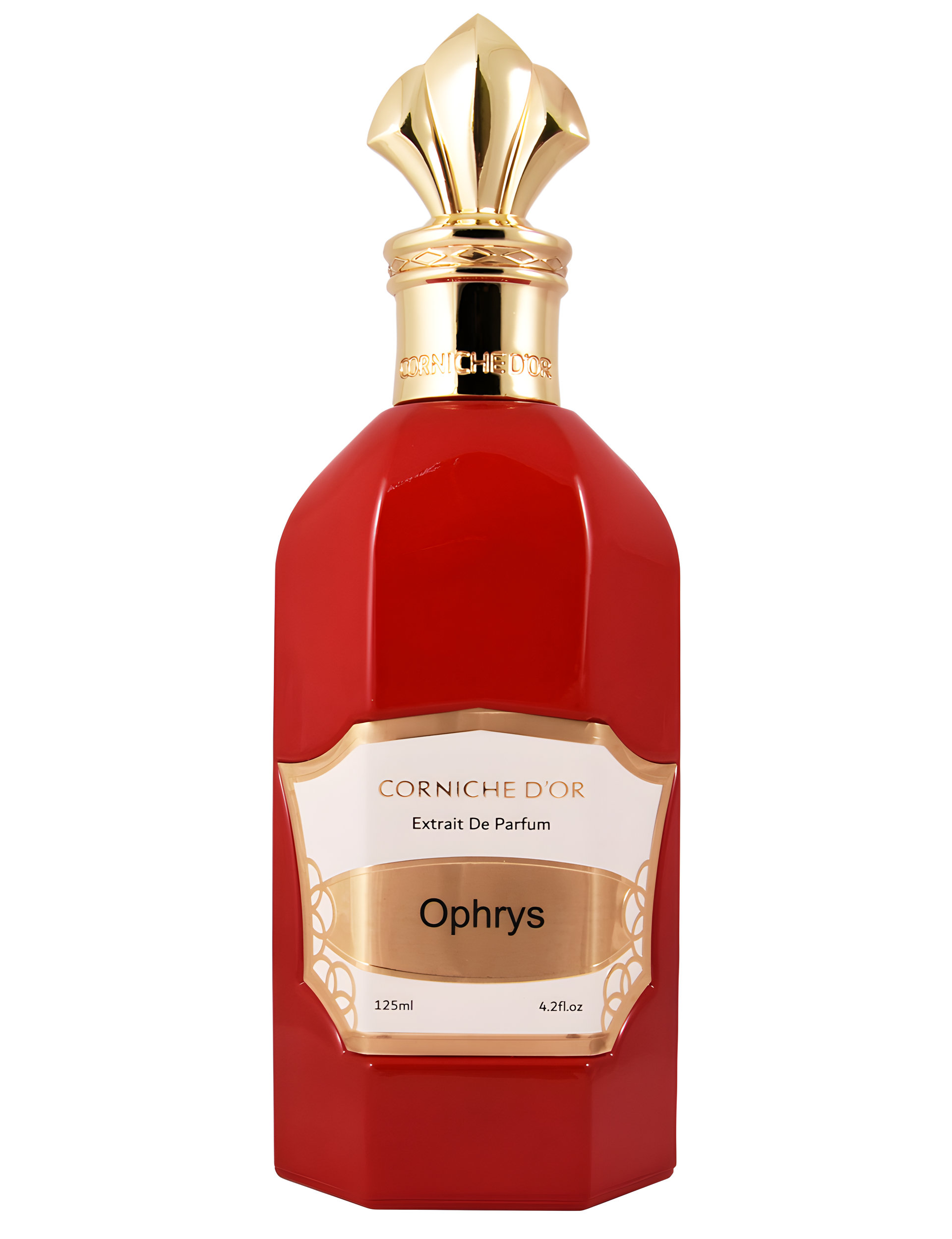 Picture of Ophrys fragrance