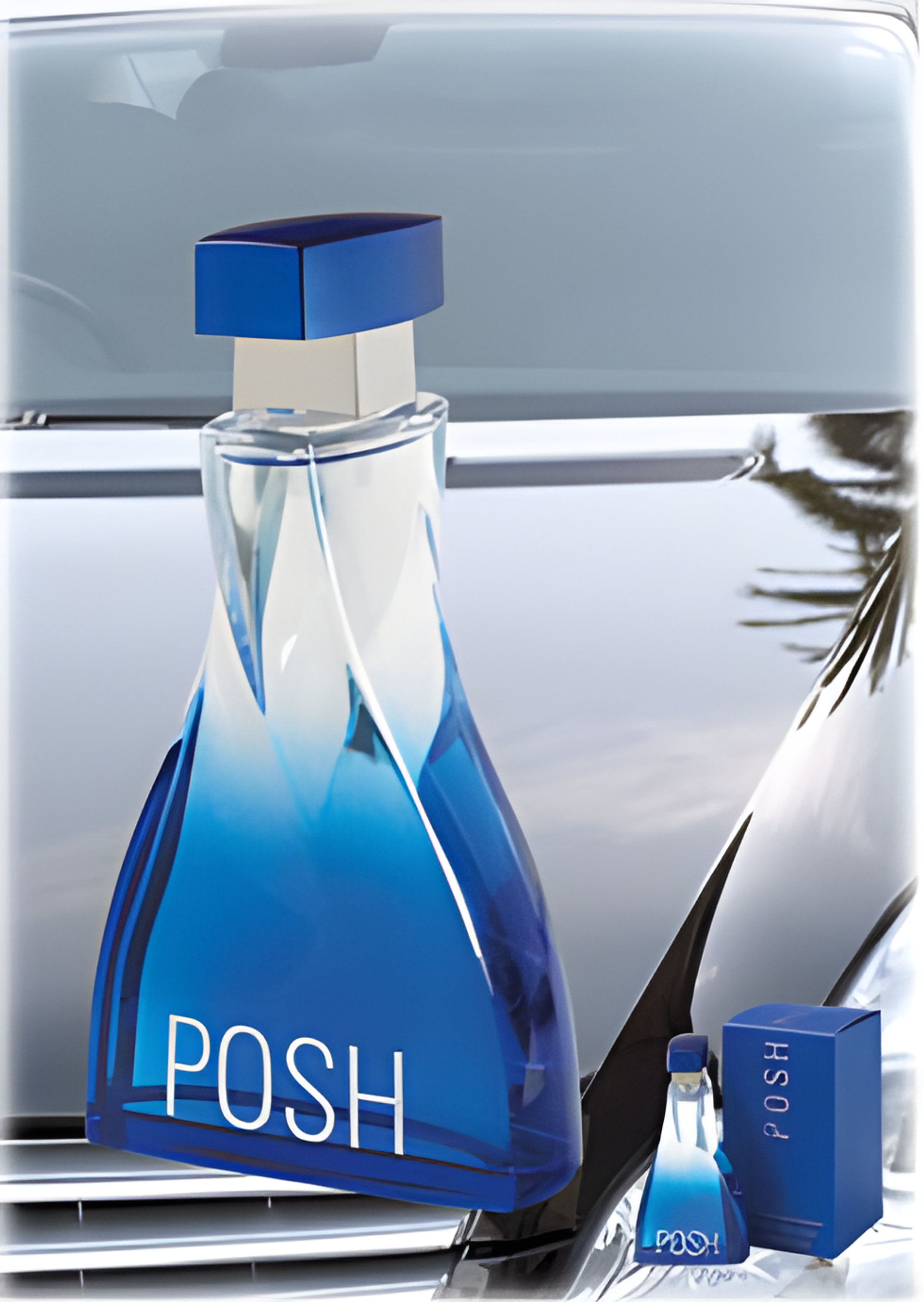 Picture of Posh Homme fragrance
