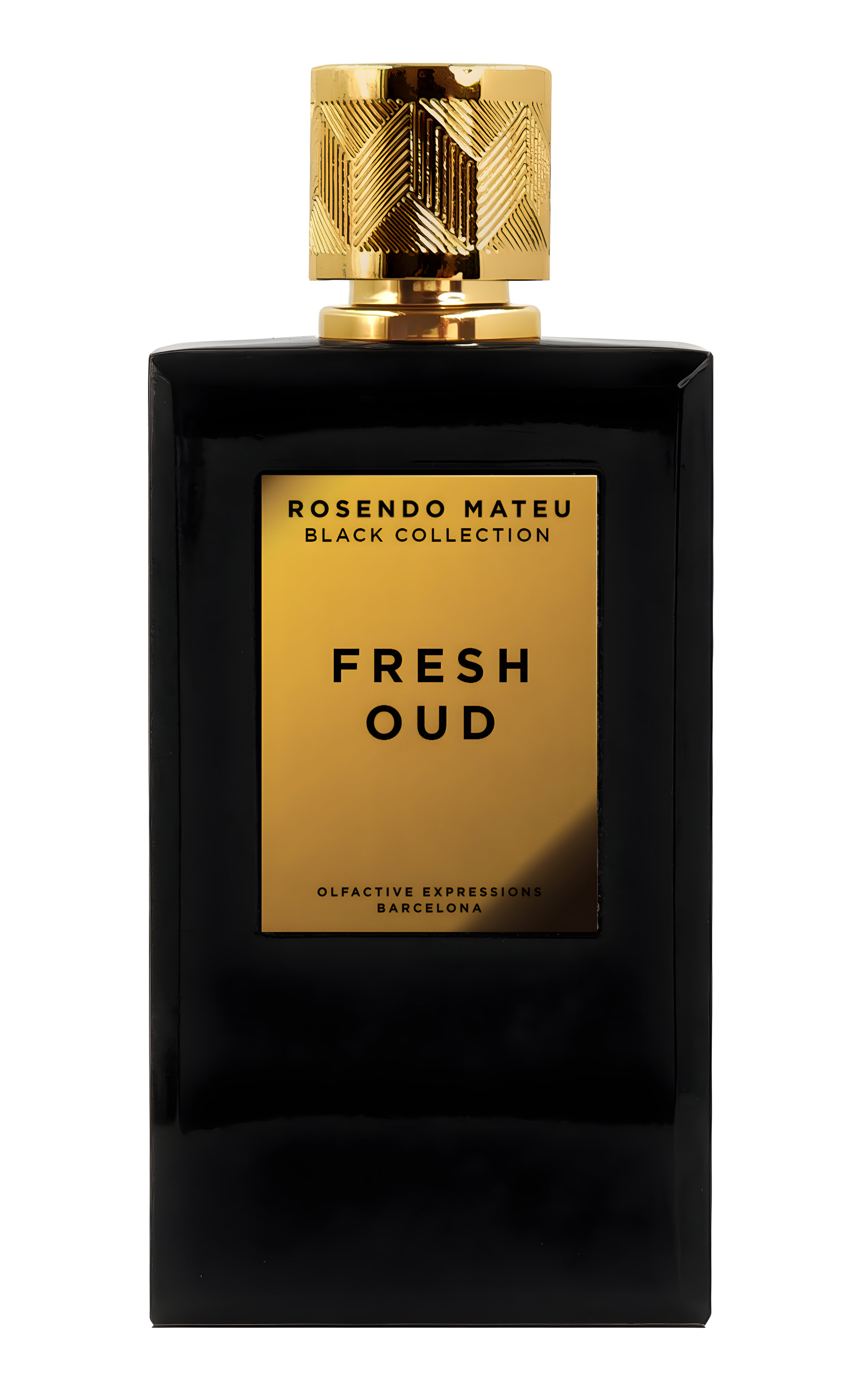 Picture of Fresh Oud fragrance