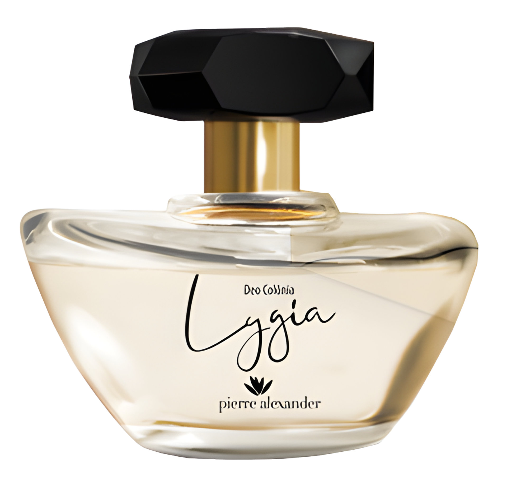 Picture of Lygia fragrance