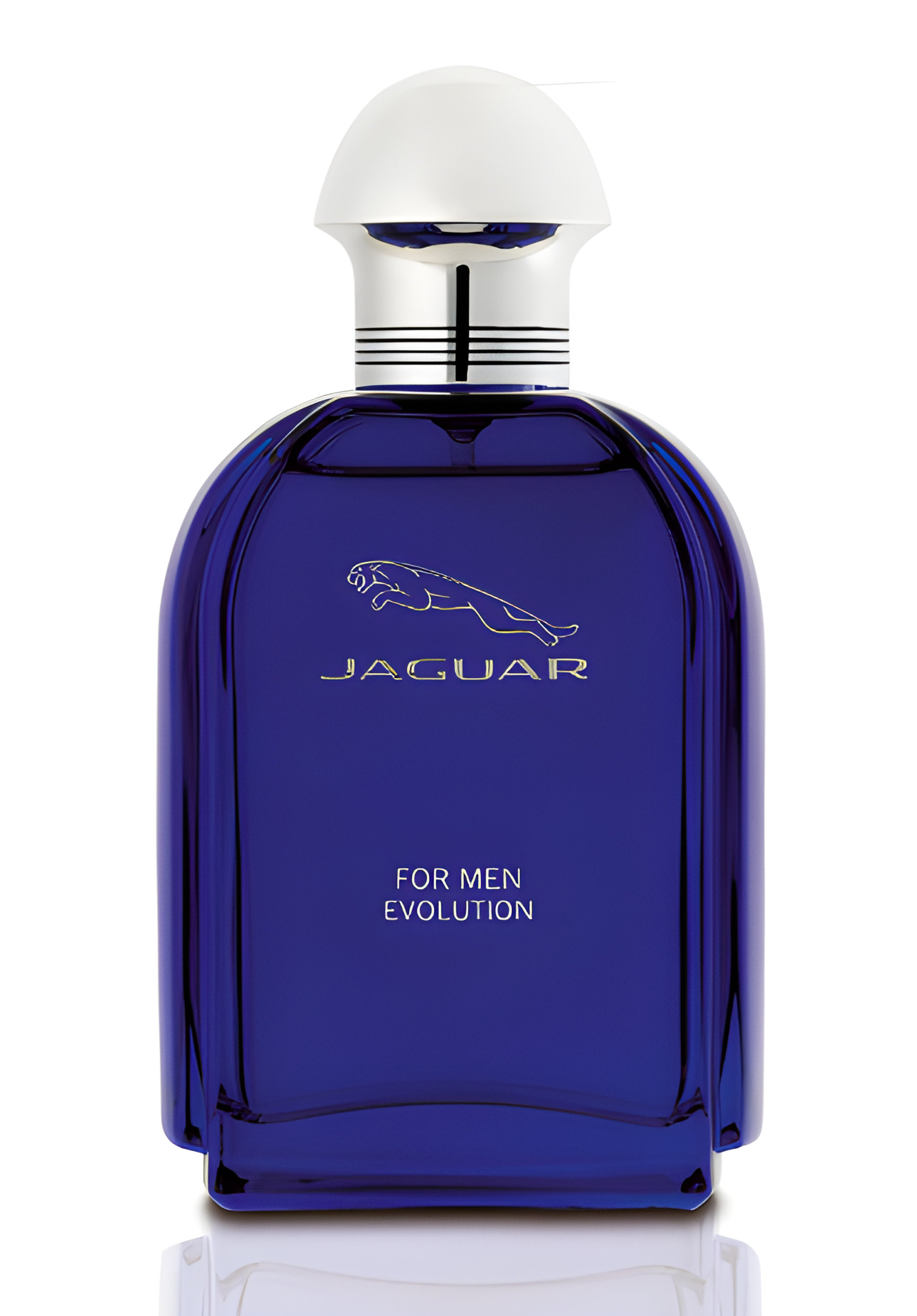 Picture of Jaguar for Men Evolution fragrance