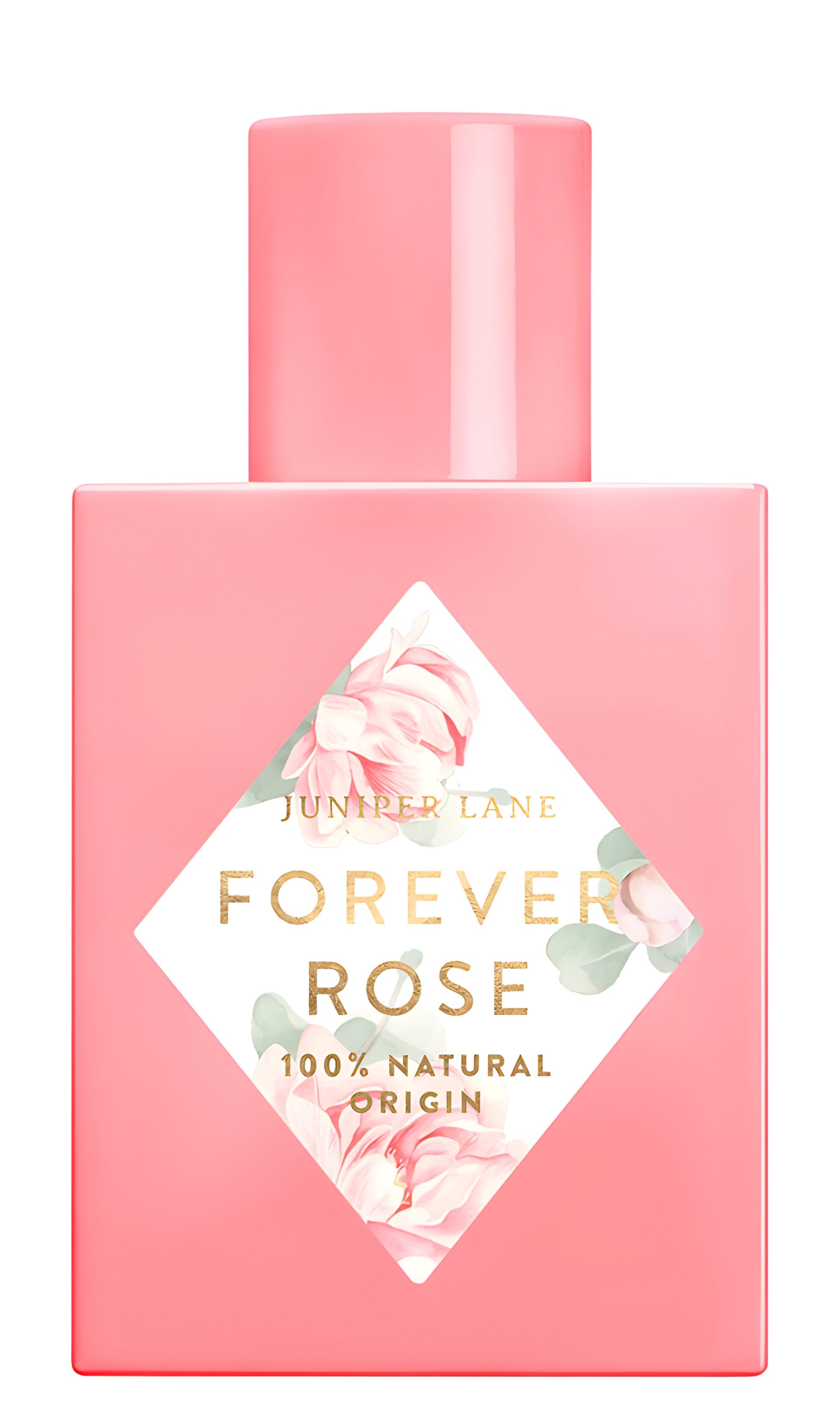Picture of Forever Rose fragrance