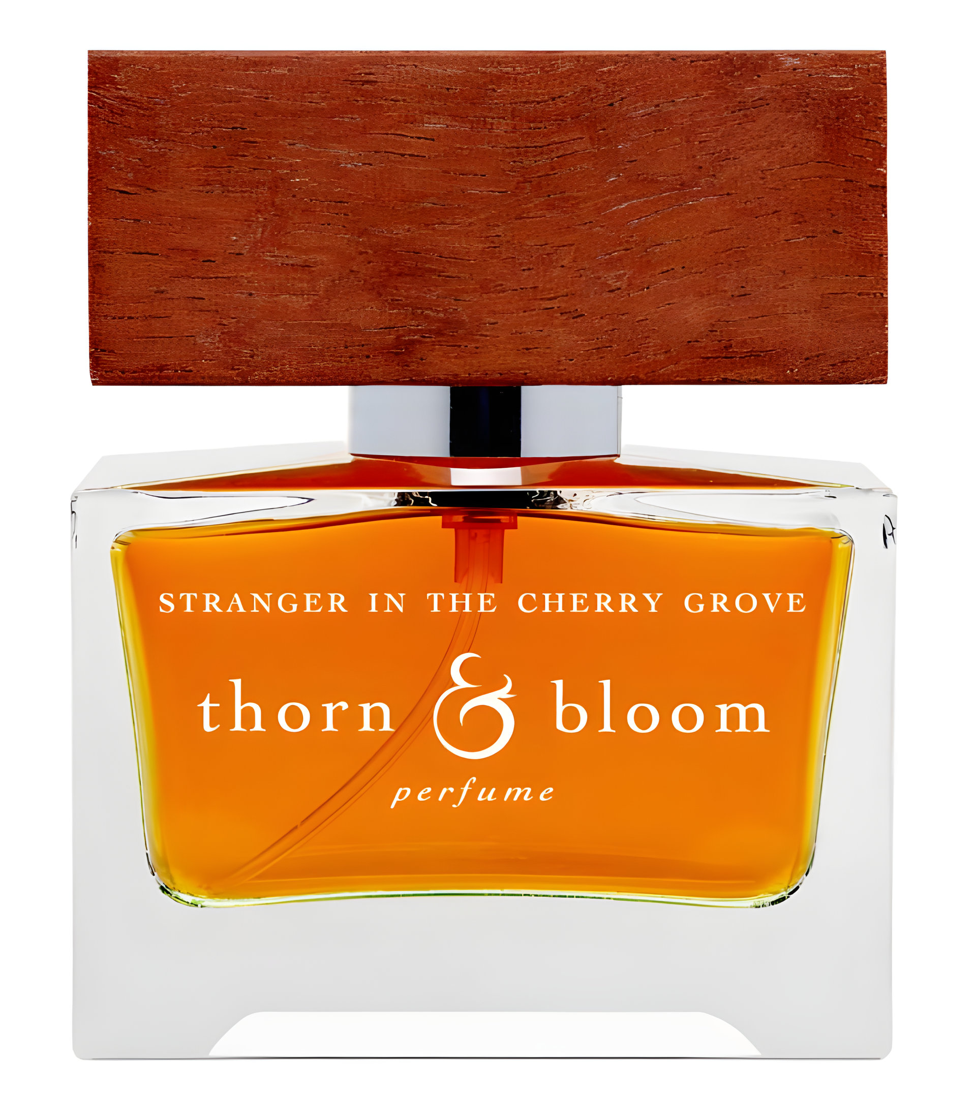 Picture of Stranger in the Cherry Grove fragrance
