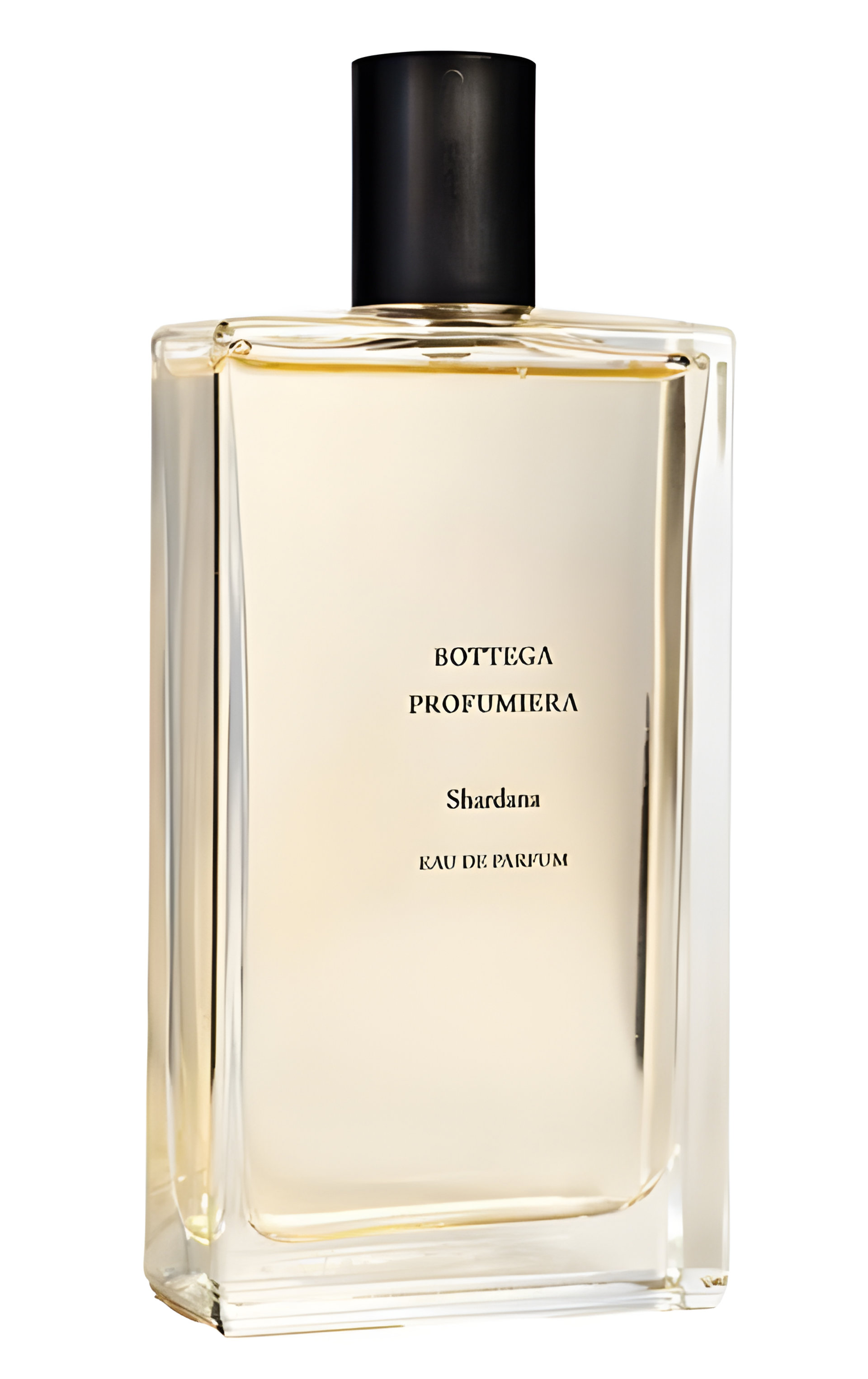 Picture of Shardana fragrance