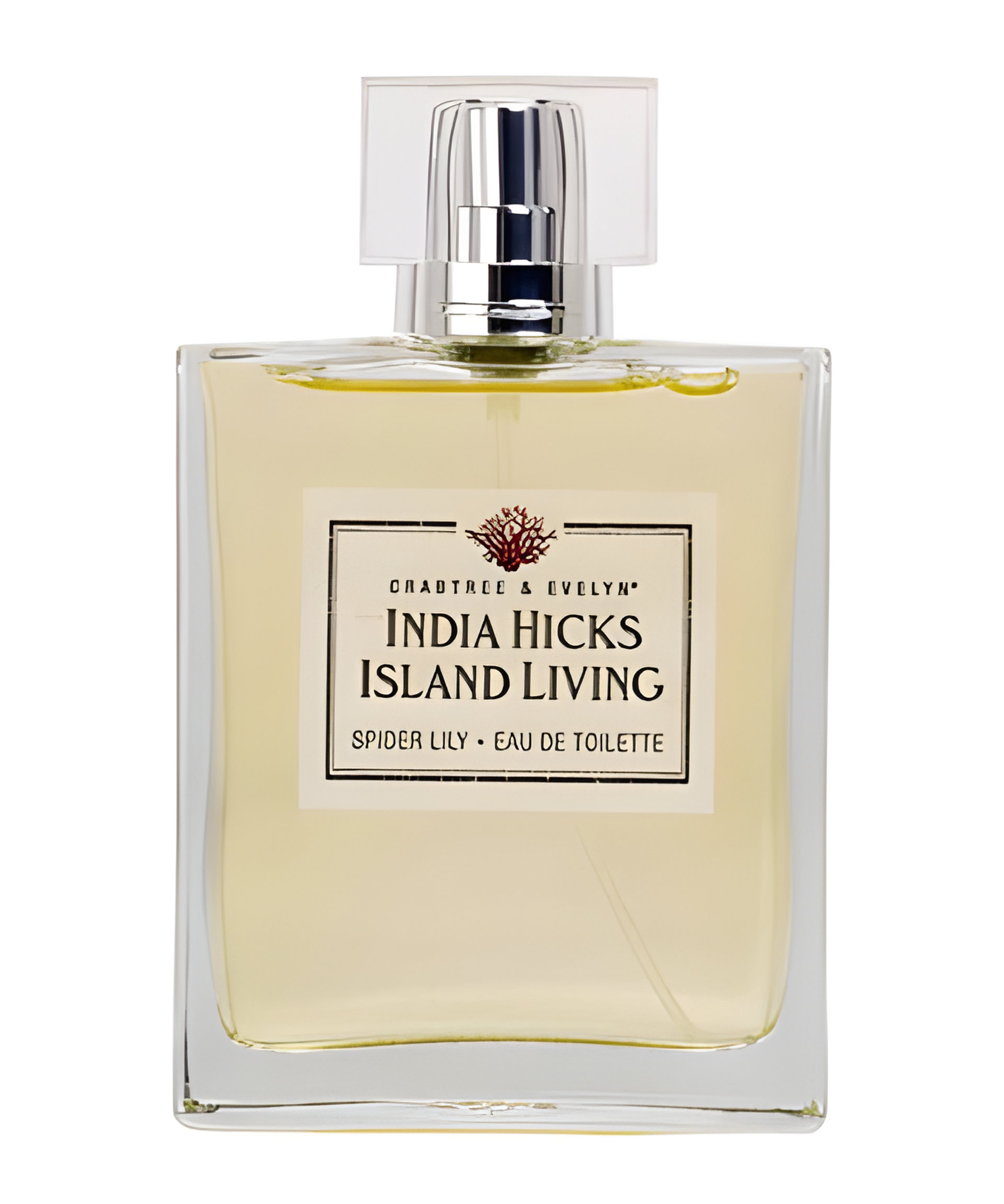 Picture of India Hicks Island Living - Spider Lily fragrance