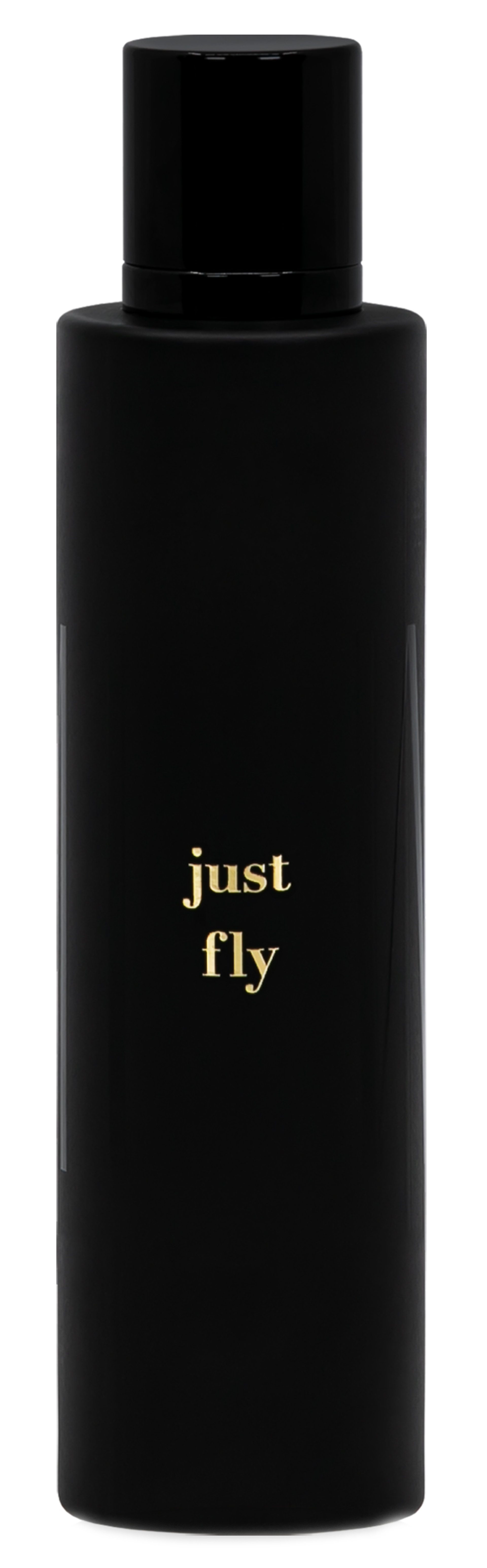 Picture of Just Fly fragrance