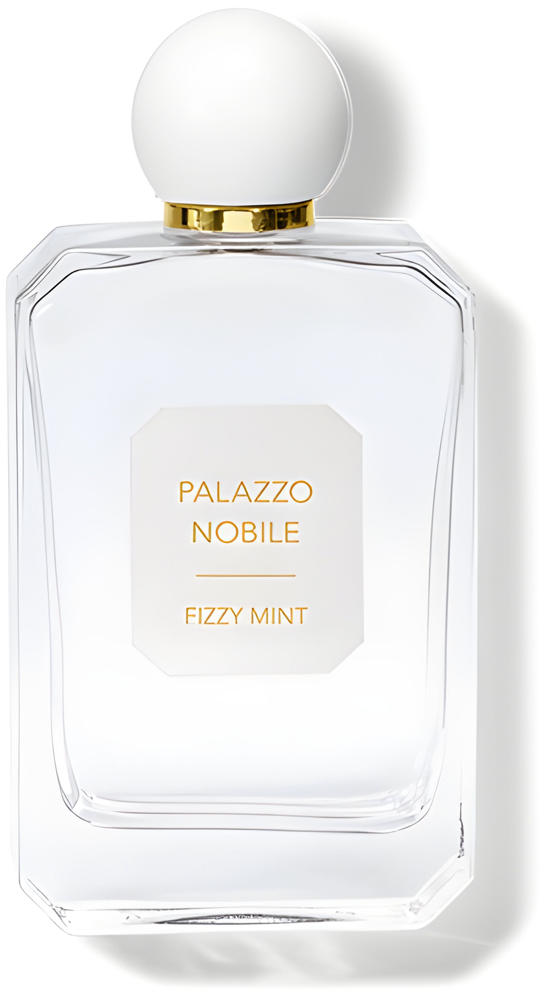 Picture of Fizzy Mint fragrance