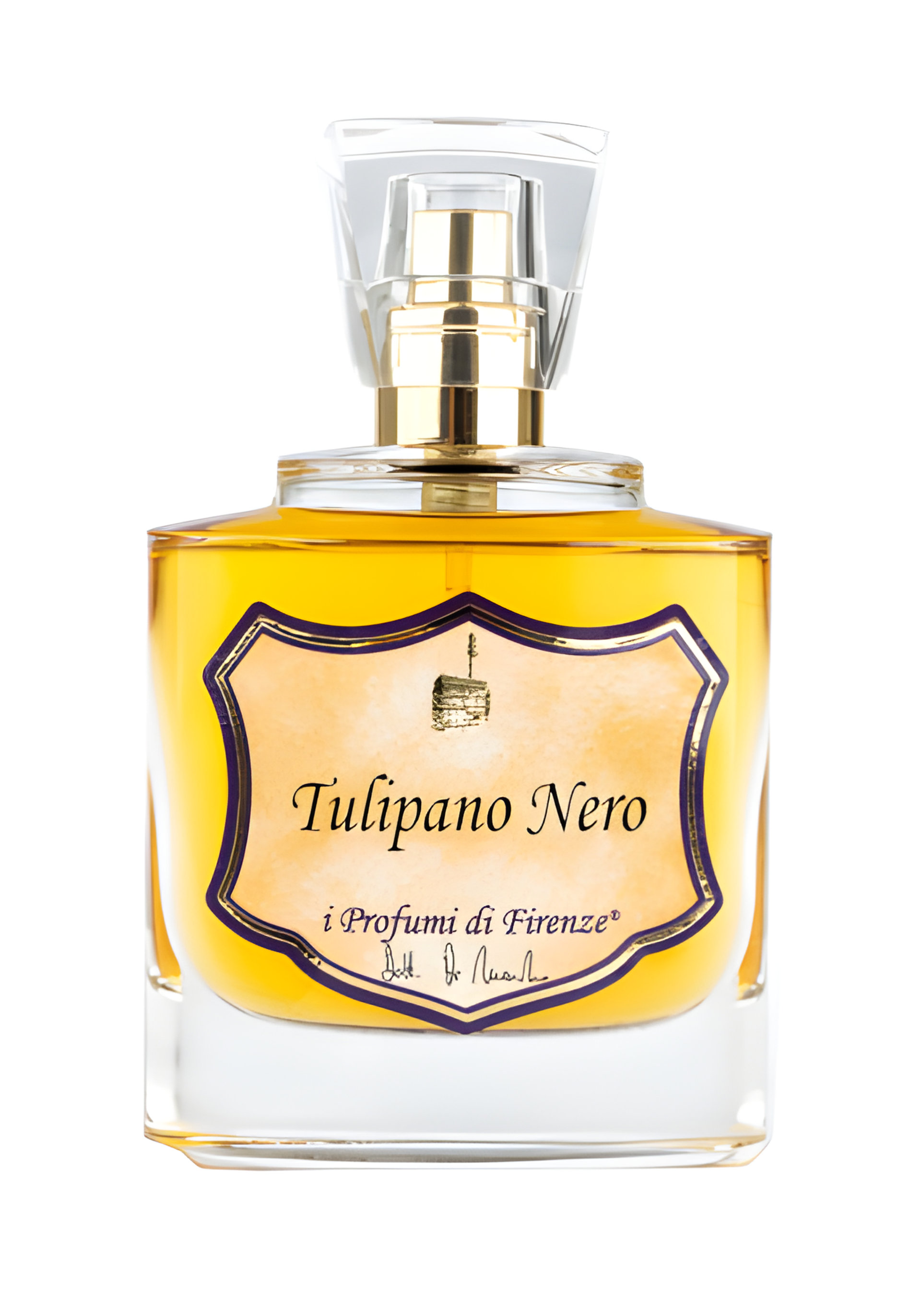 Picture of Tulipano Nero fragrance