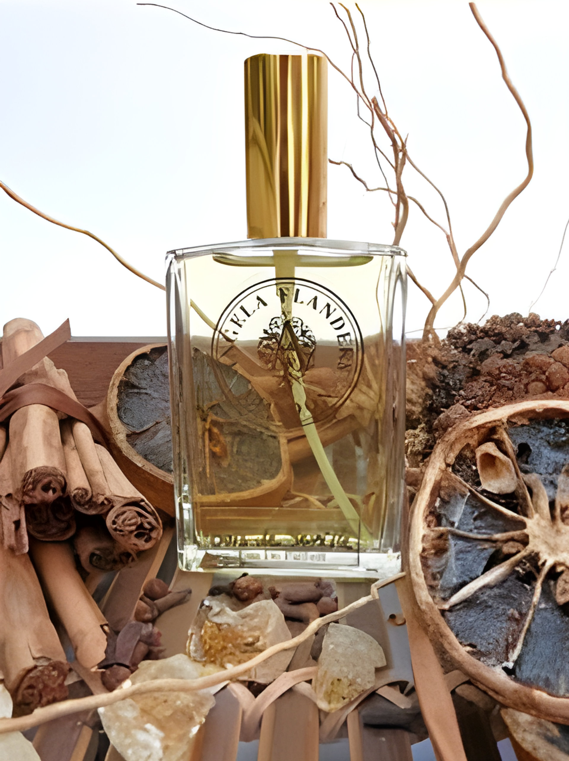 Picture of Bois de Seville fragrance