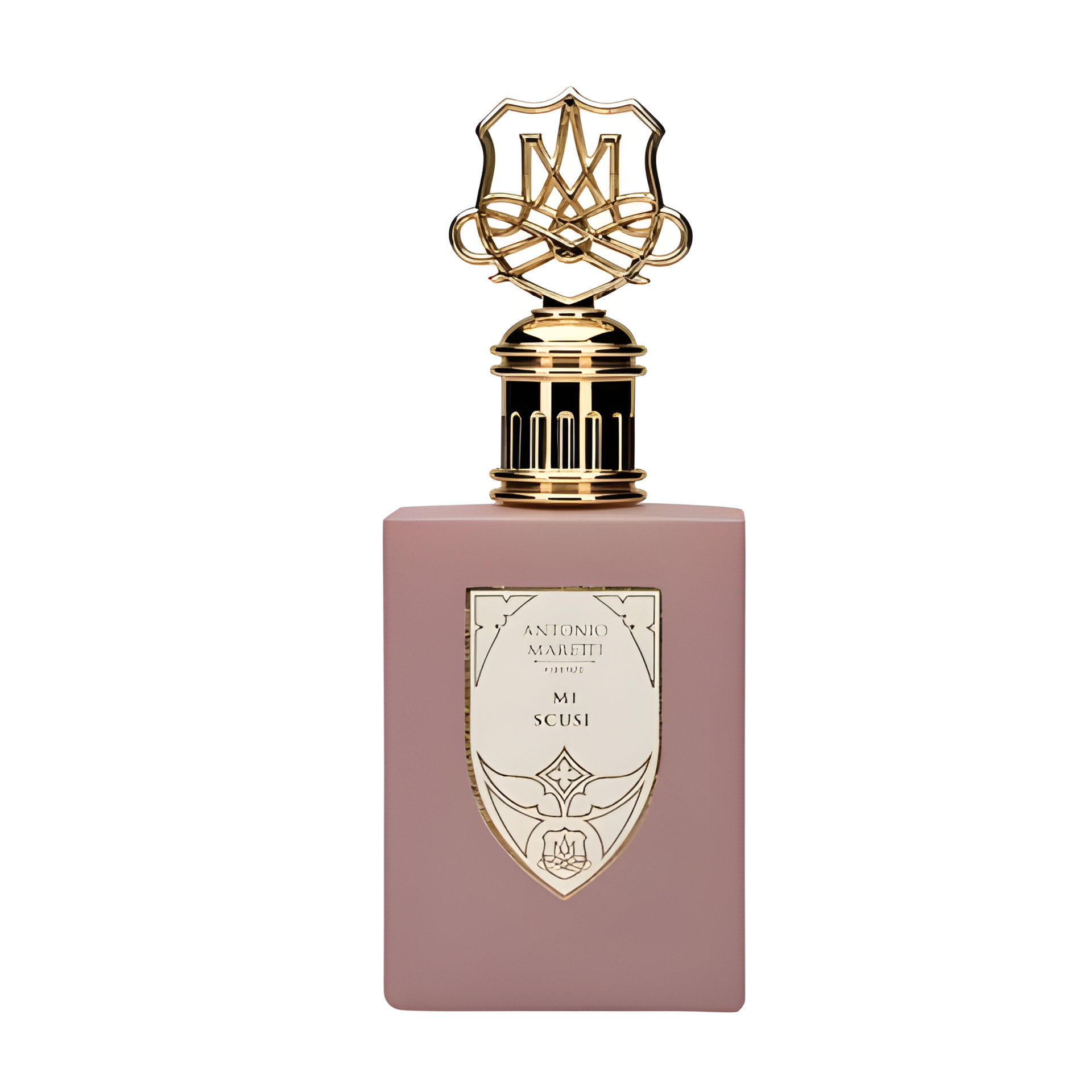 Picture of Mi Scusi fragrance