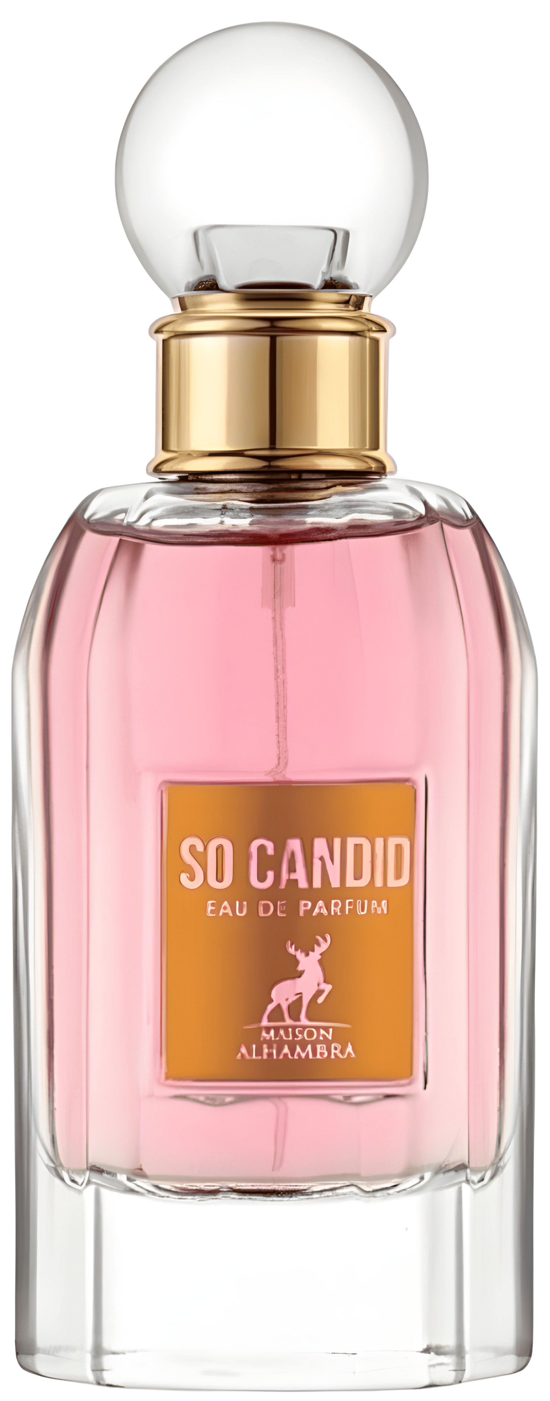 Picture of So Candid fragrance