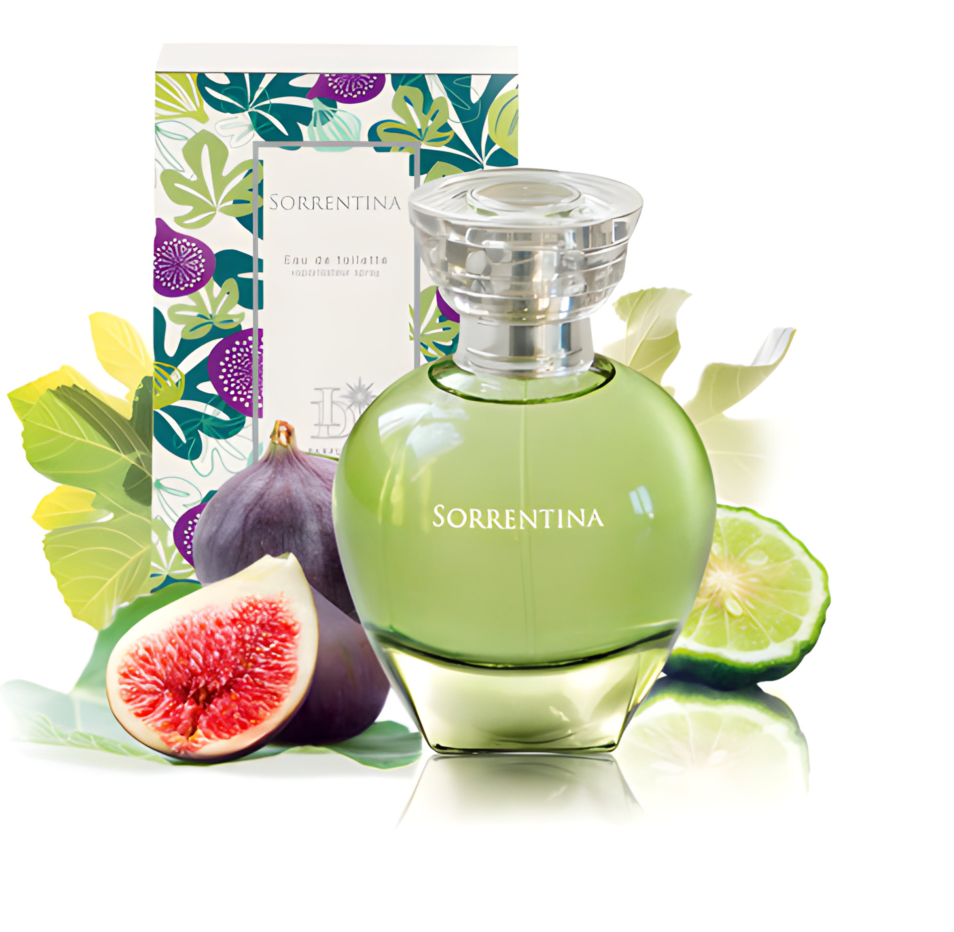 Picture of Sorrentina fragrance