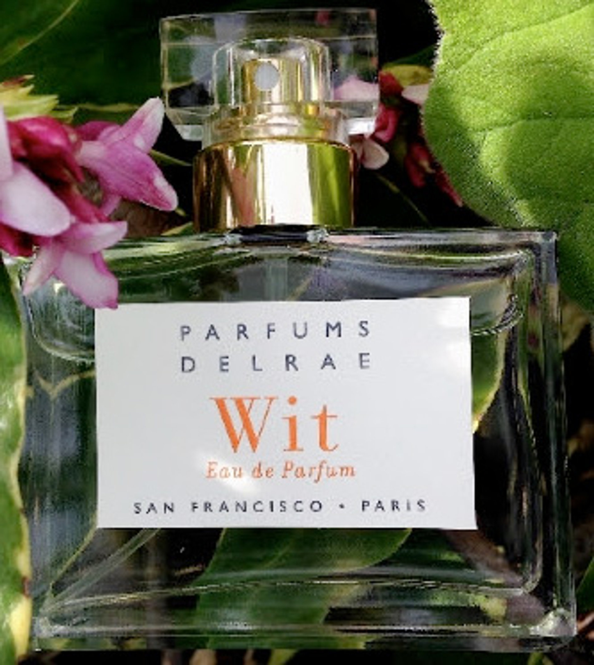 Picture of Wit fragrance