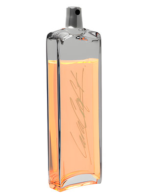 Lara Croft by Tomb Raider perfume bottle