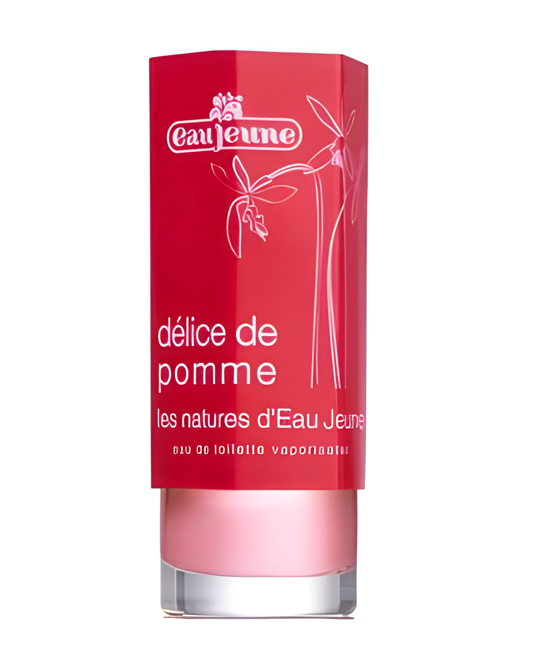 Picture of Delice de Pomme fragrance