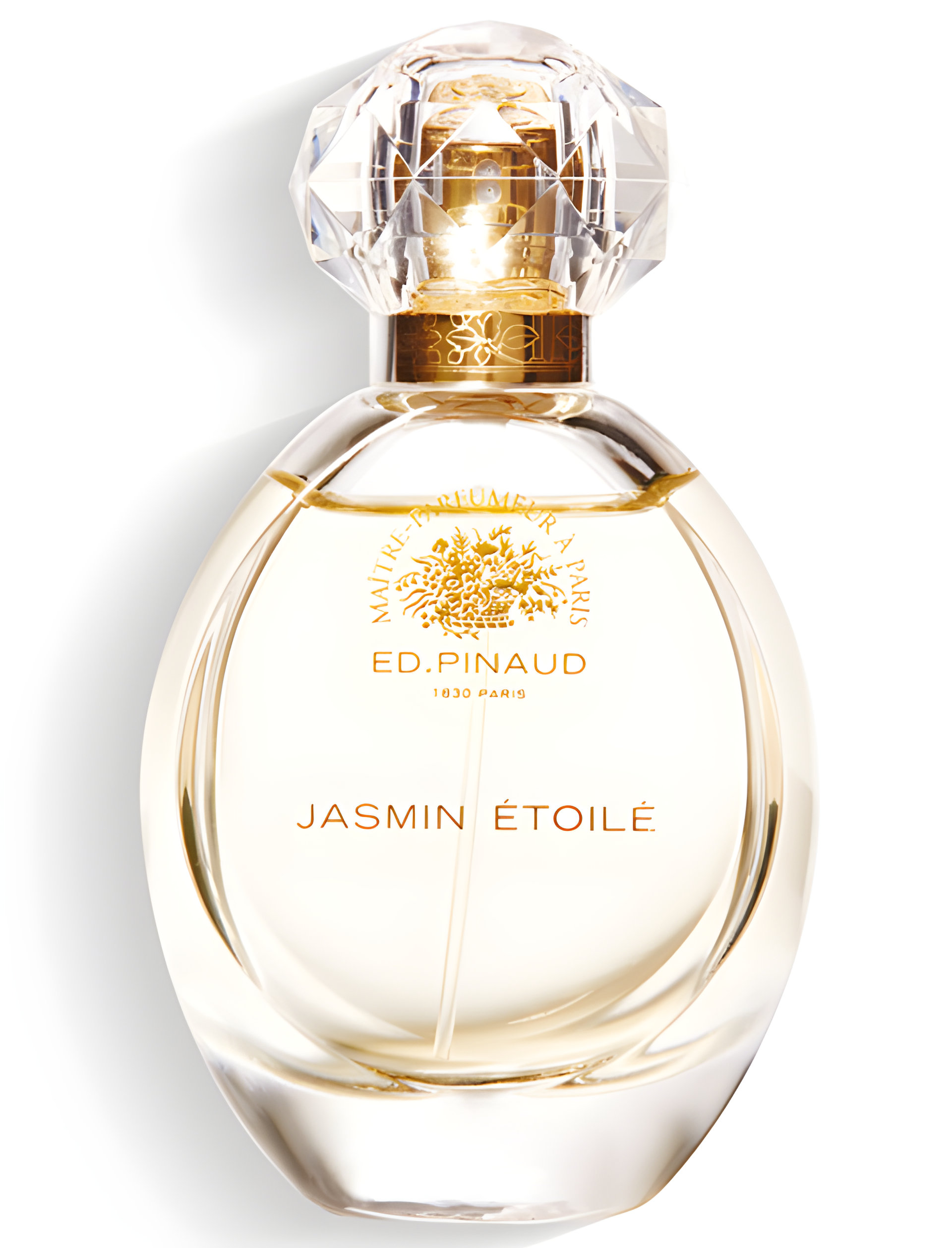 Picture of Jasmin Etoilé fragrance