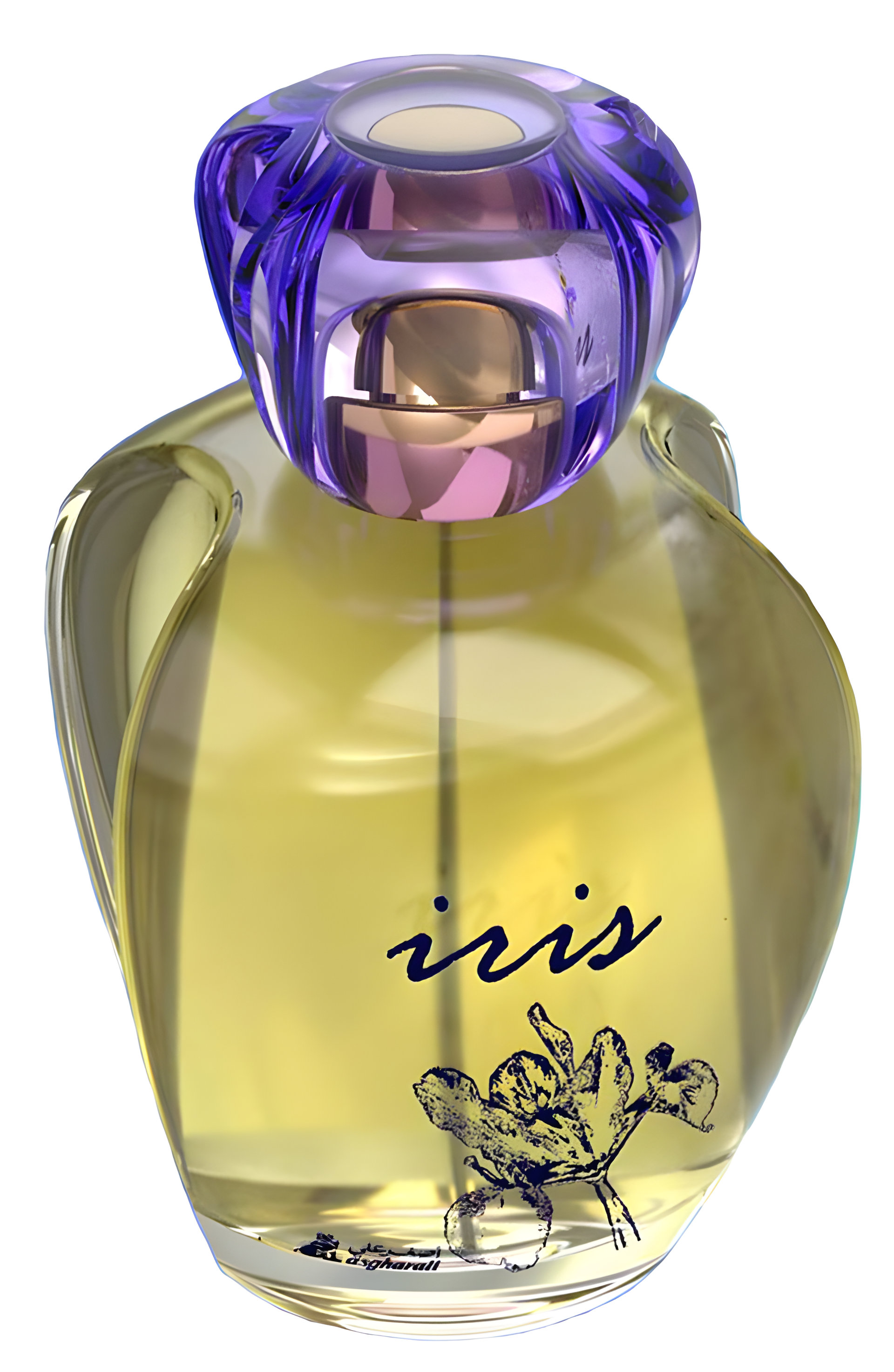 Picture of Iris fragrance