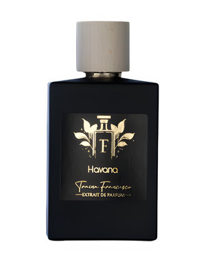 Havana by Traina Francesco Parfum perfume bottle