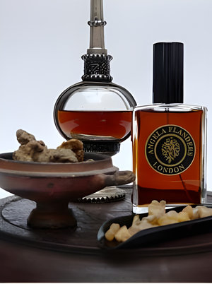 Amber Noir by Angela Flanders perfume bottle