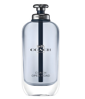 Open Road by Coach perfume bottle