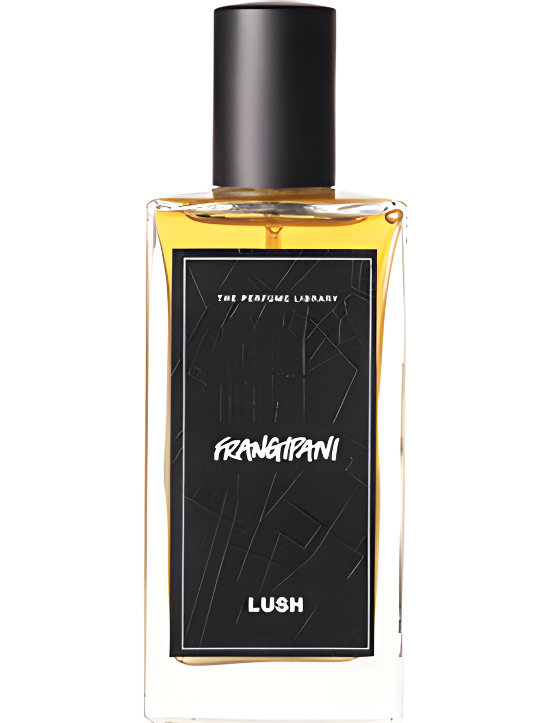 Picture of Frangipani fragrance