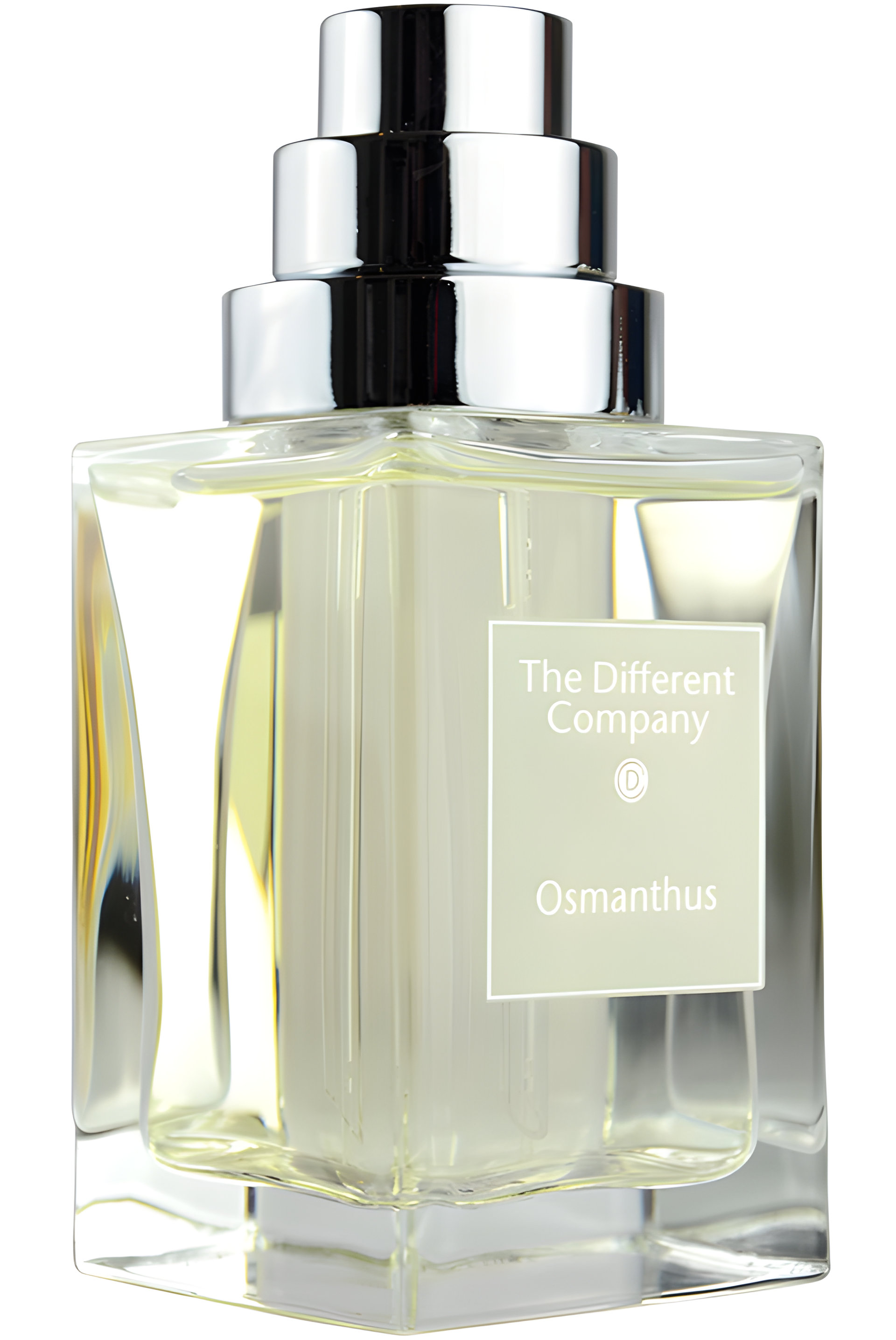Picture of Osmanthus fragrance