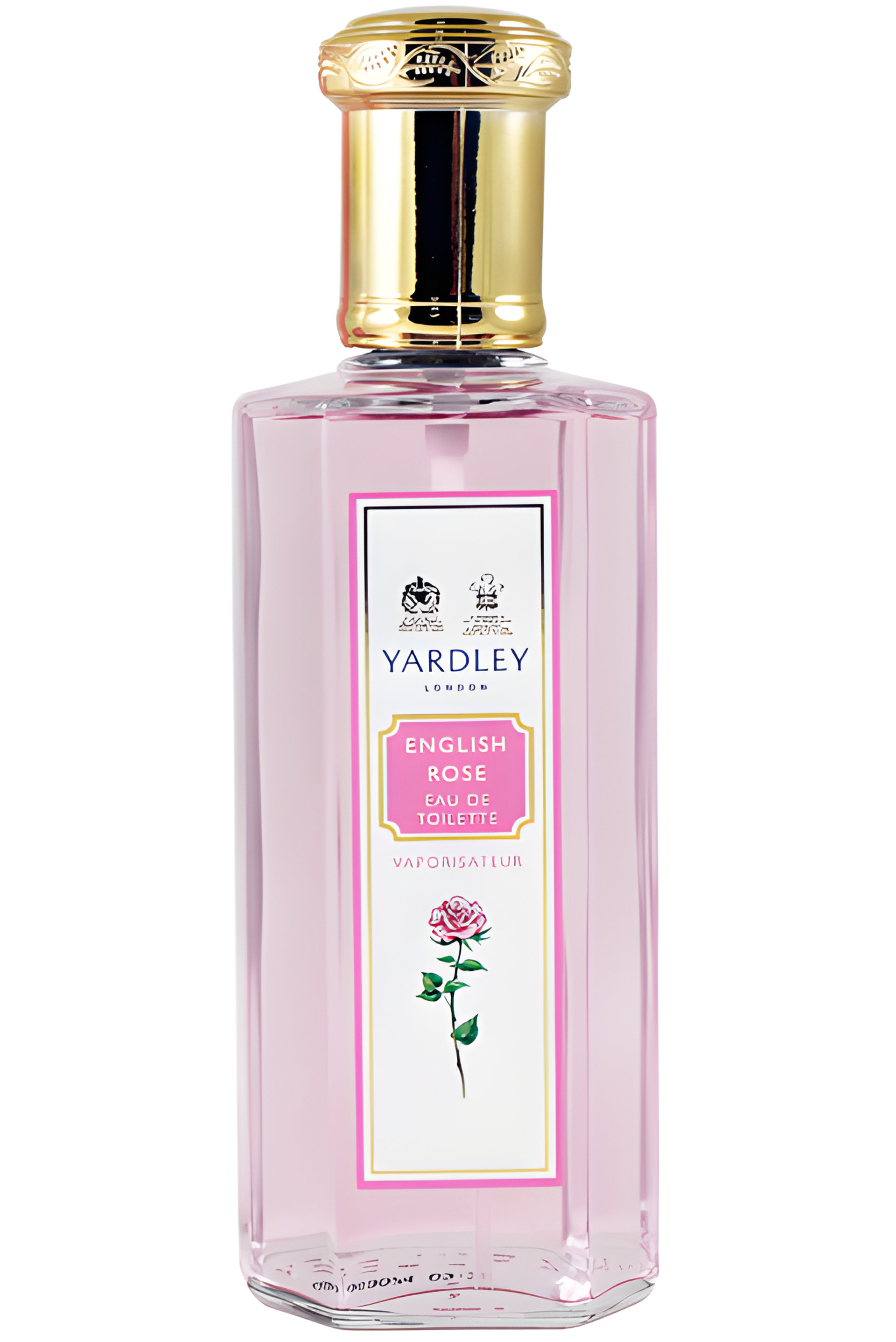 Picture of English Rose fragrance
