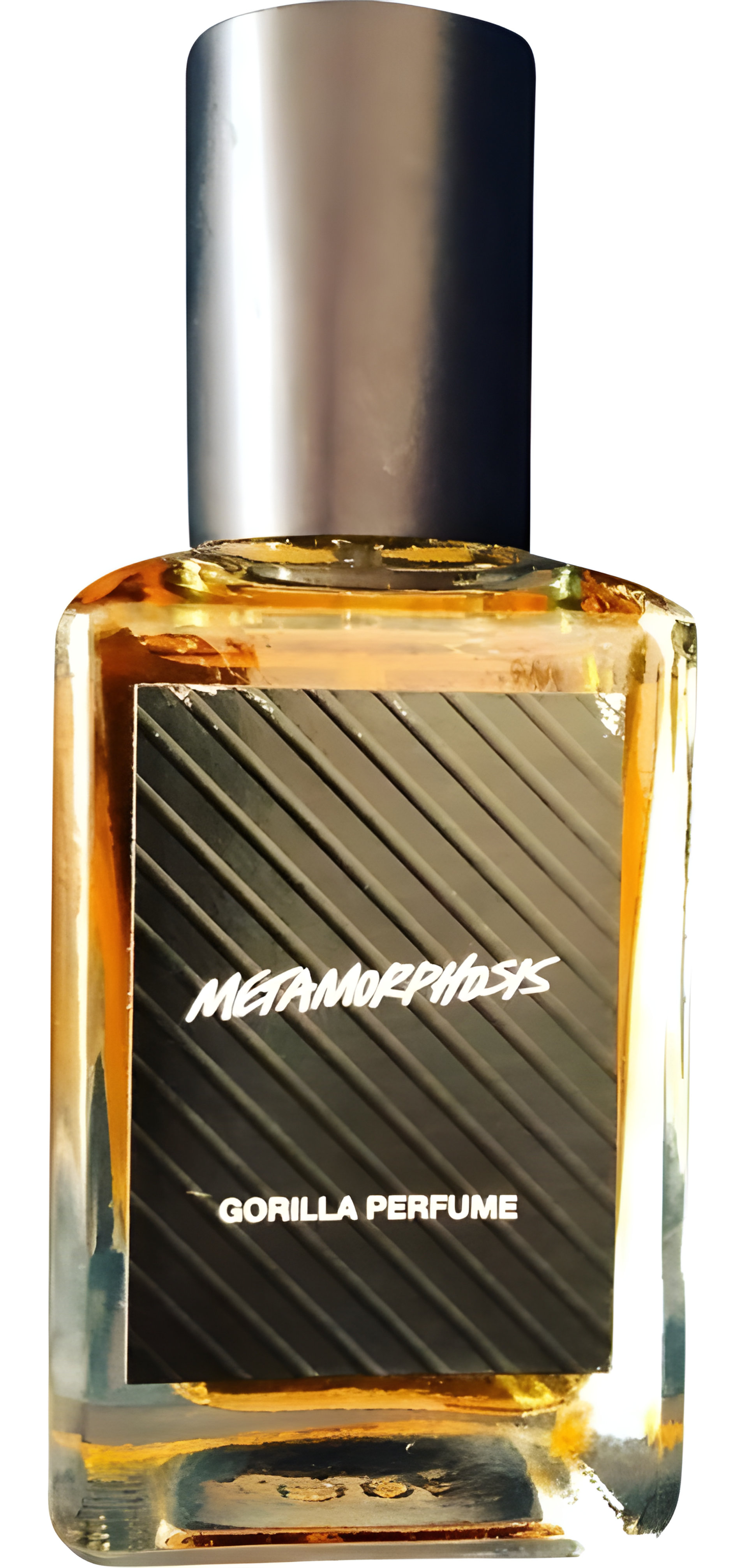 Picture of Metamorphosis fragrance