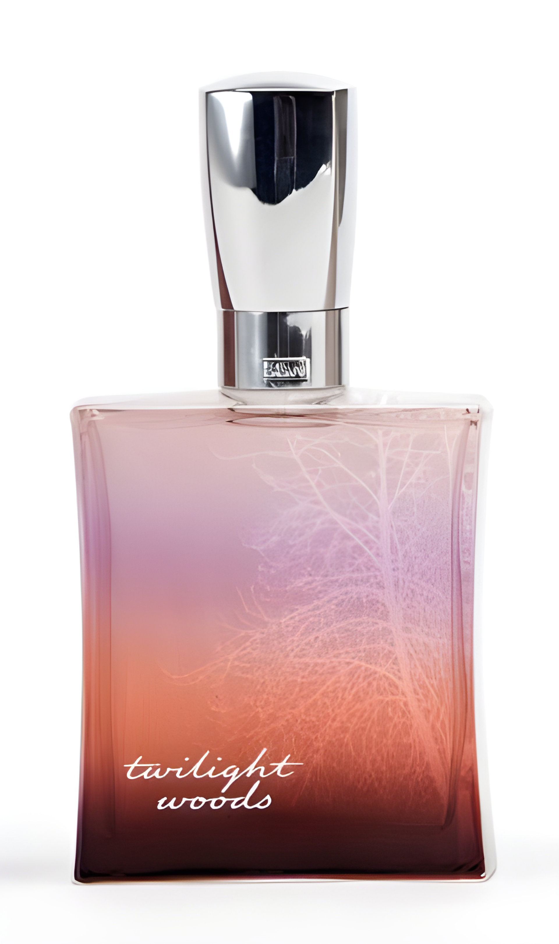 Picture of Twilight Woods fragrance