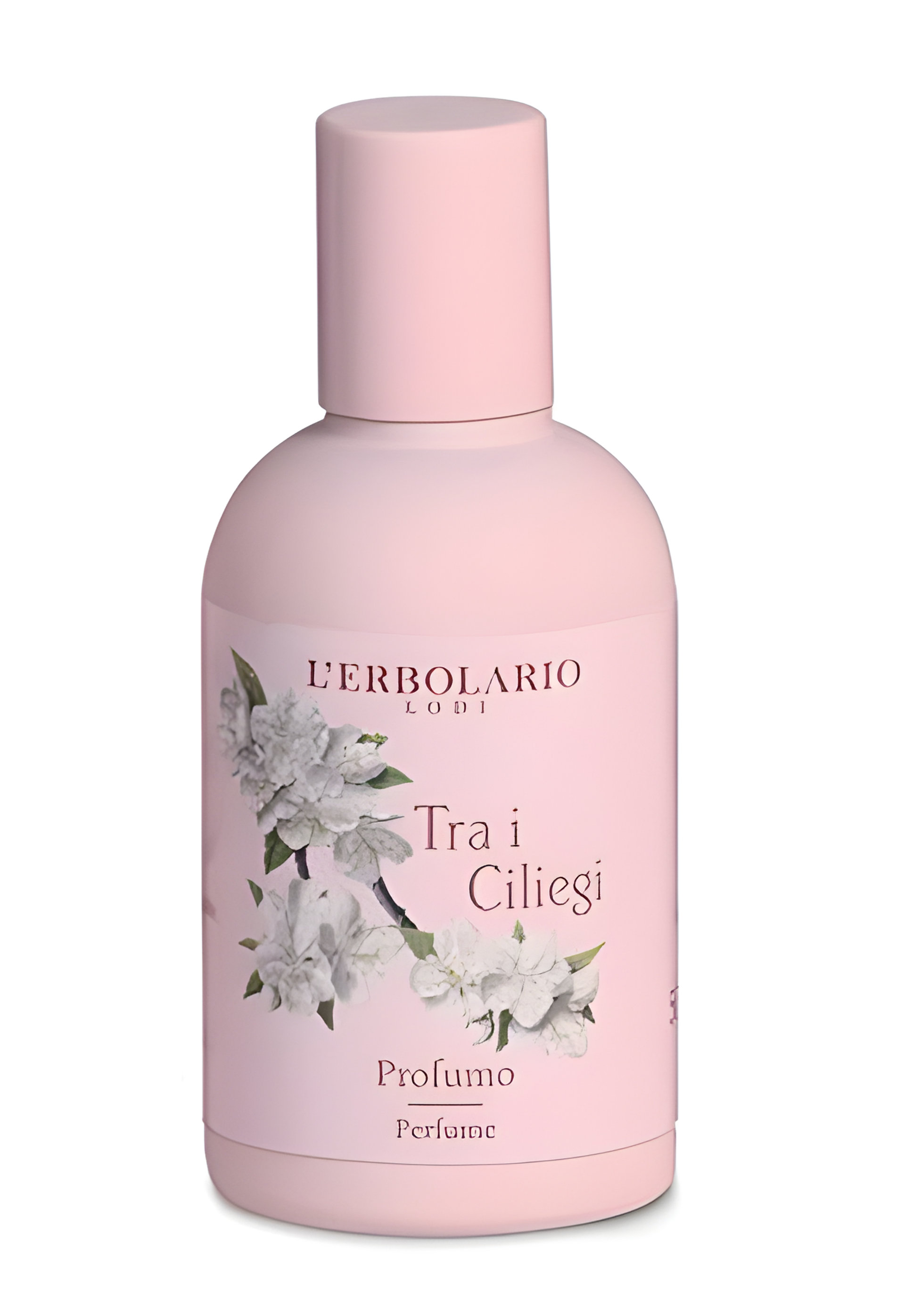 Picture of Tra I Ciliegi fragrance
