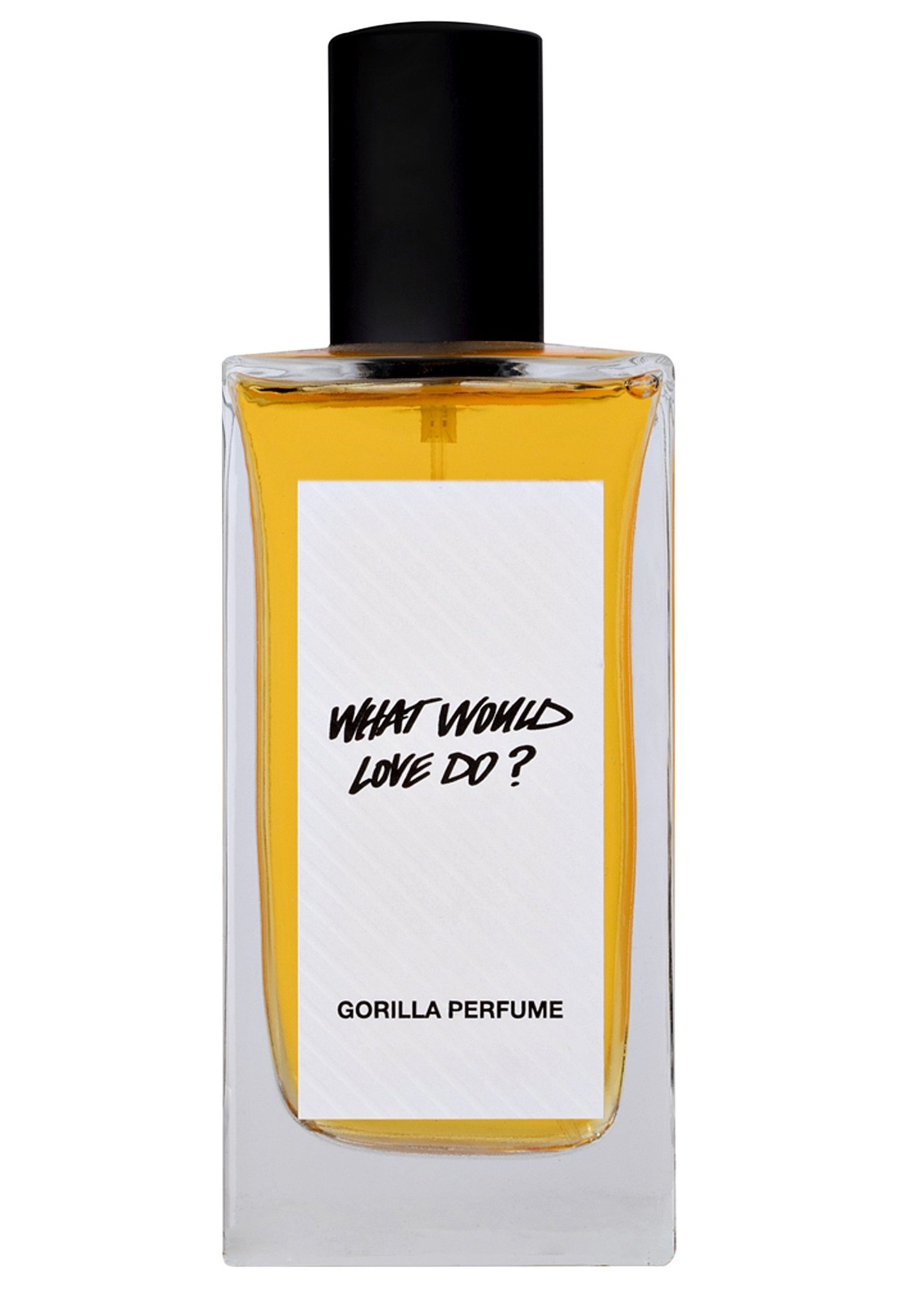 Picture of What Would Love Do fragrance