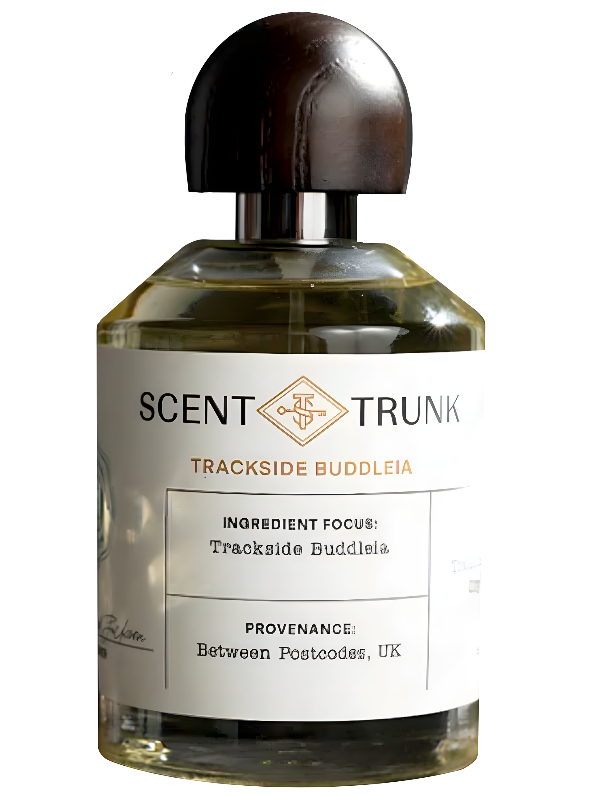 Picture of Trackside Buddleia fragrance