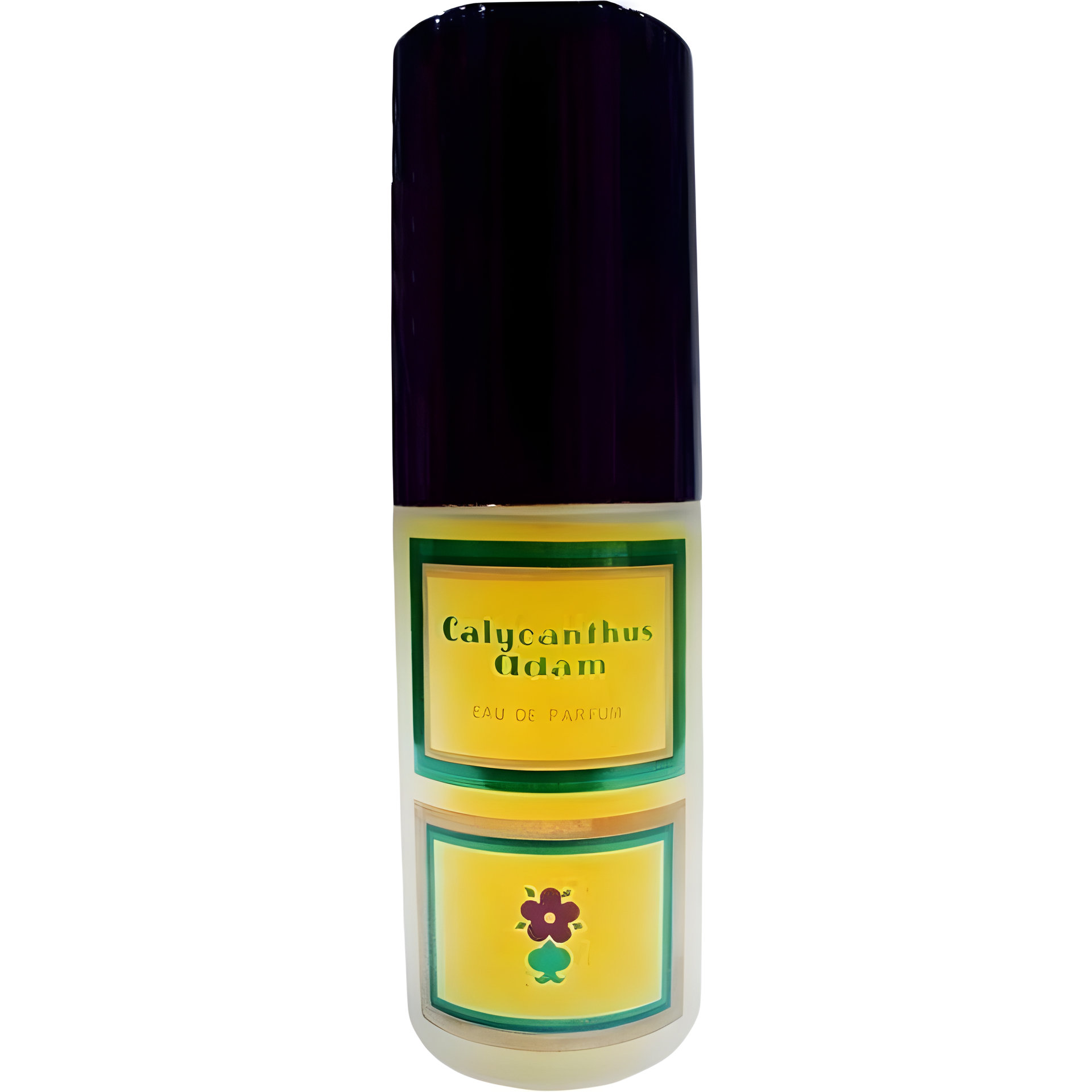 Picture of Calycanthus fragrance