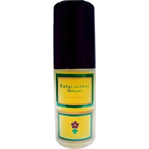 Calycanthus by Adam perfume bottle