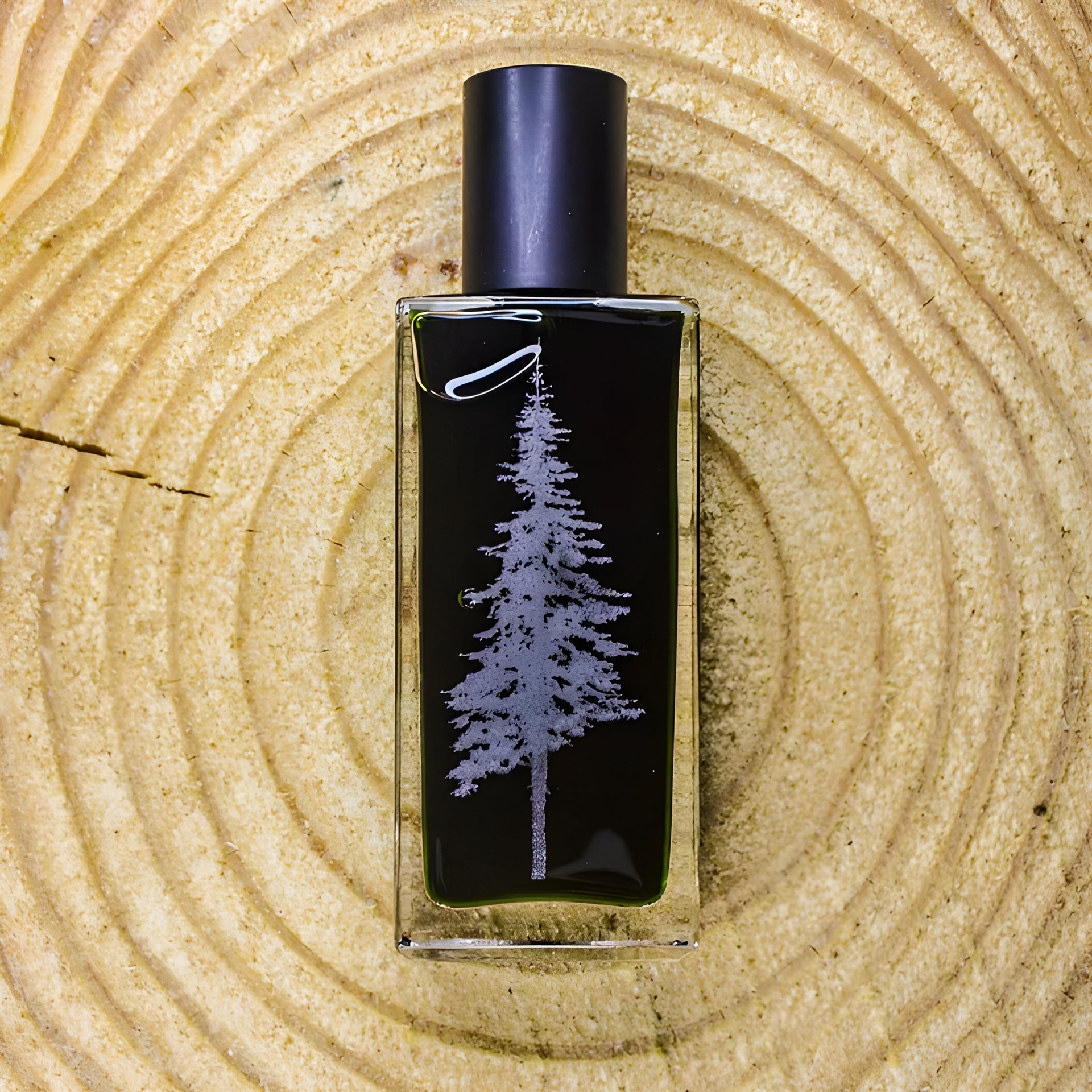 Picture of Oxylus fragrance