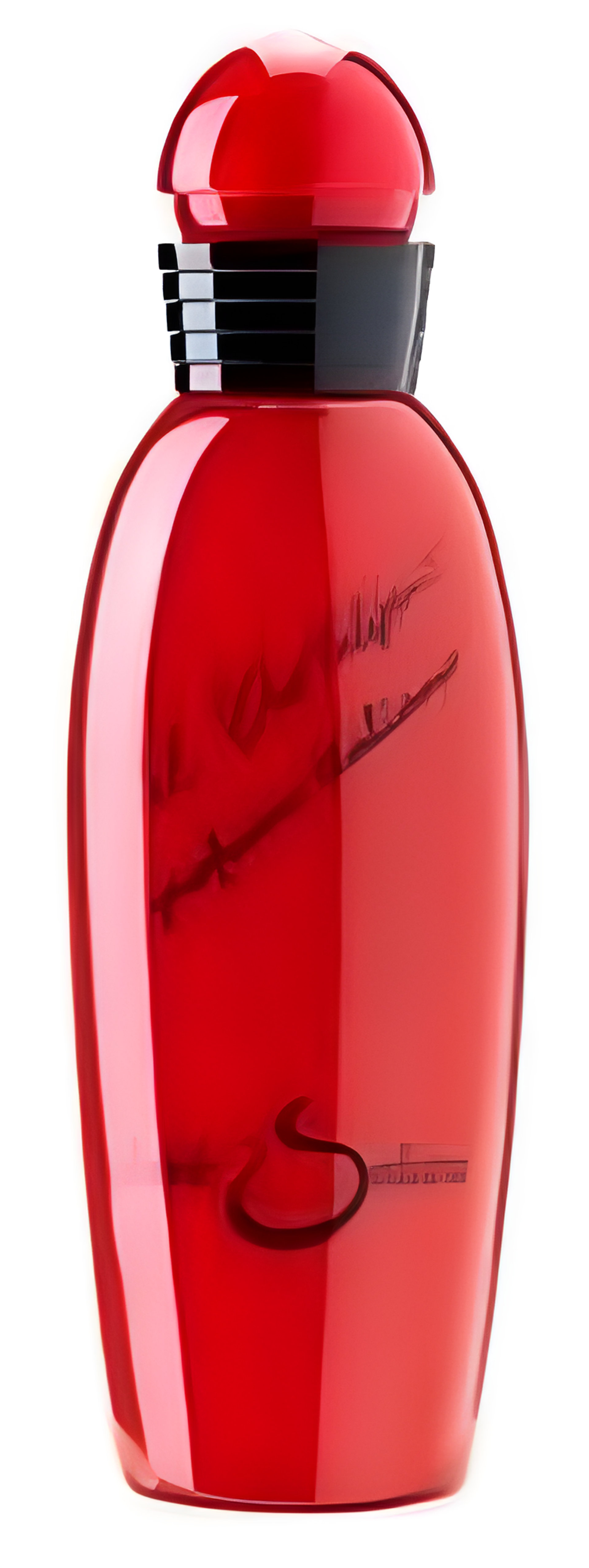 Picture of Ti Amo: Tulipano fragrance