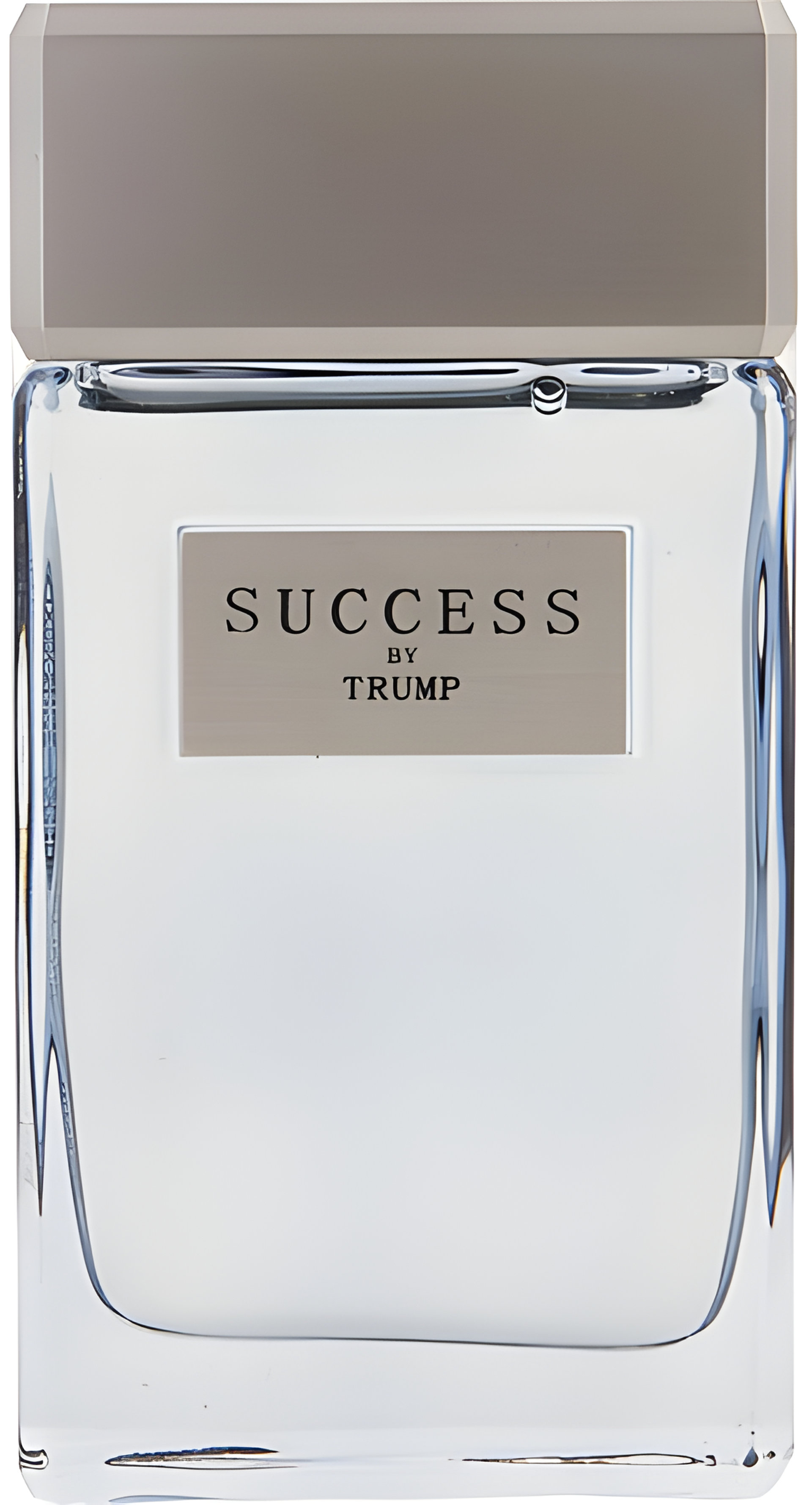Picture of Success fragrance