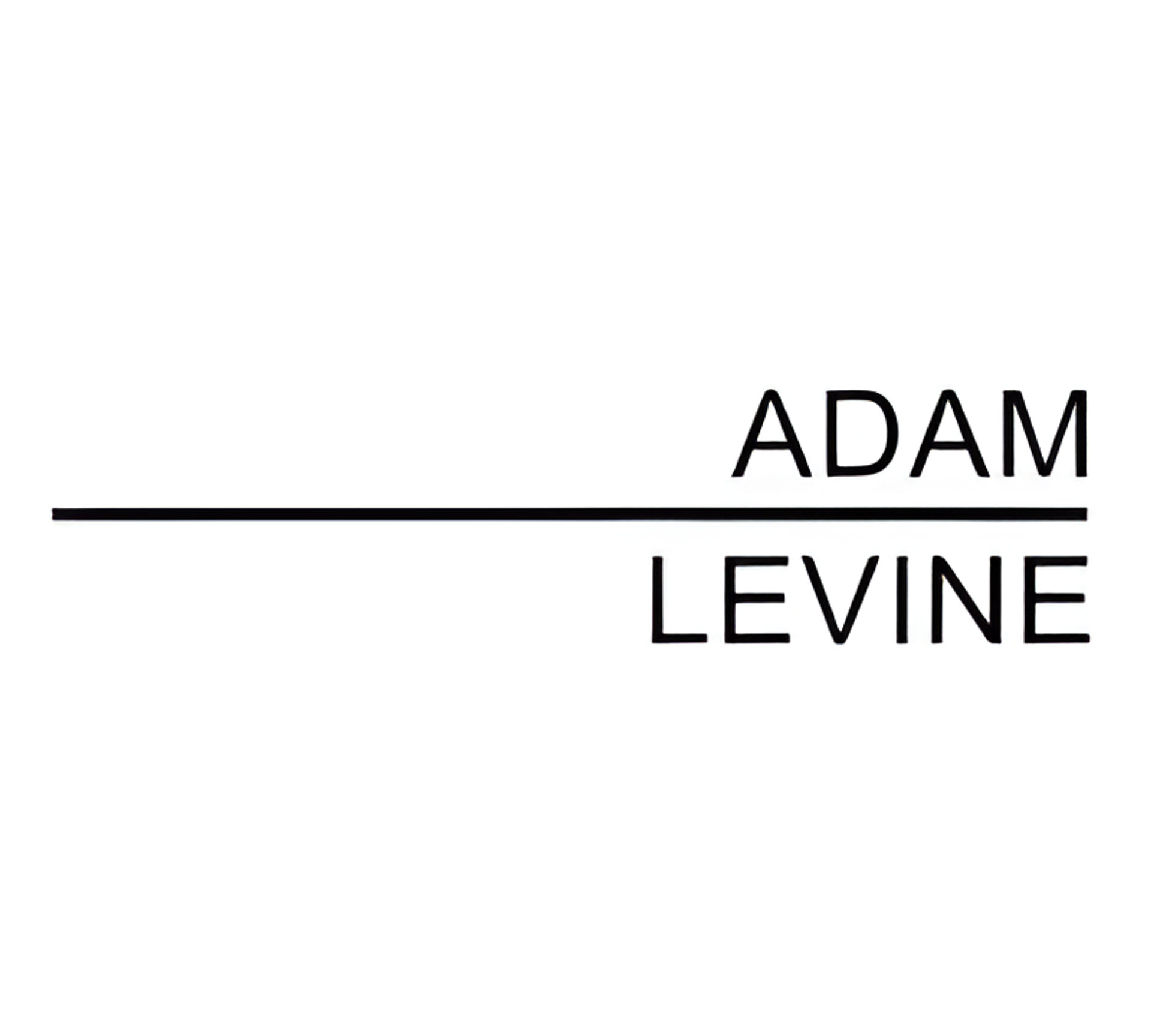Picture of Adam Levine brand