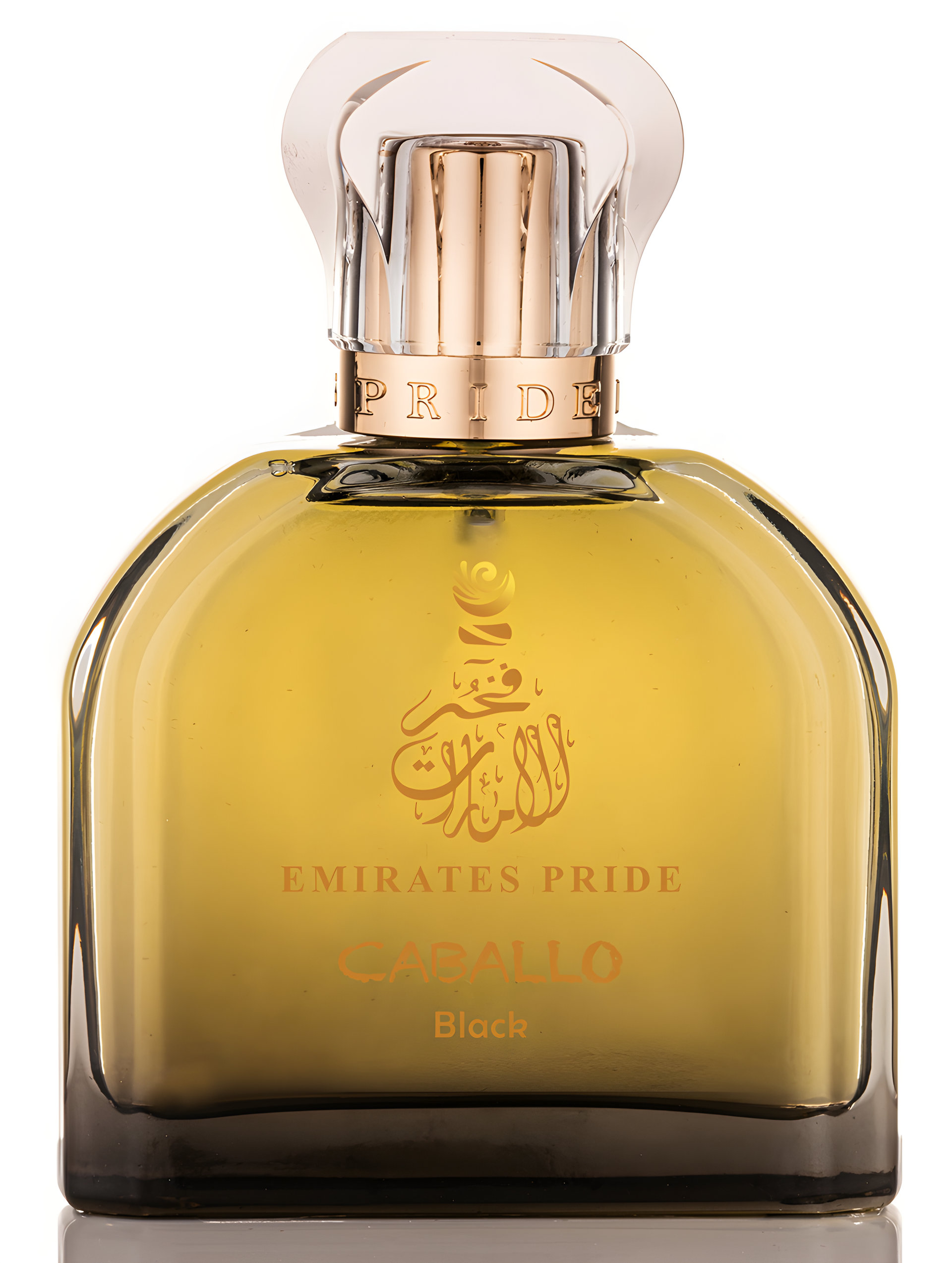 Picture of Caballo Black fragrance