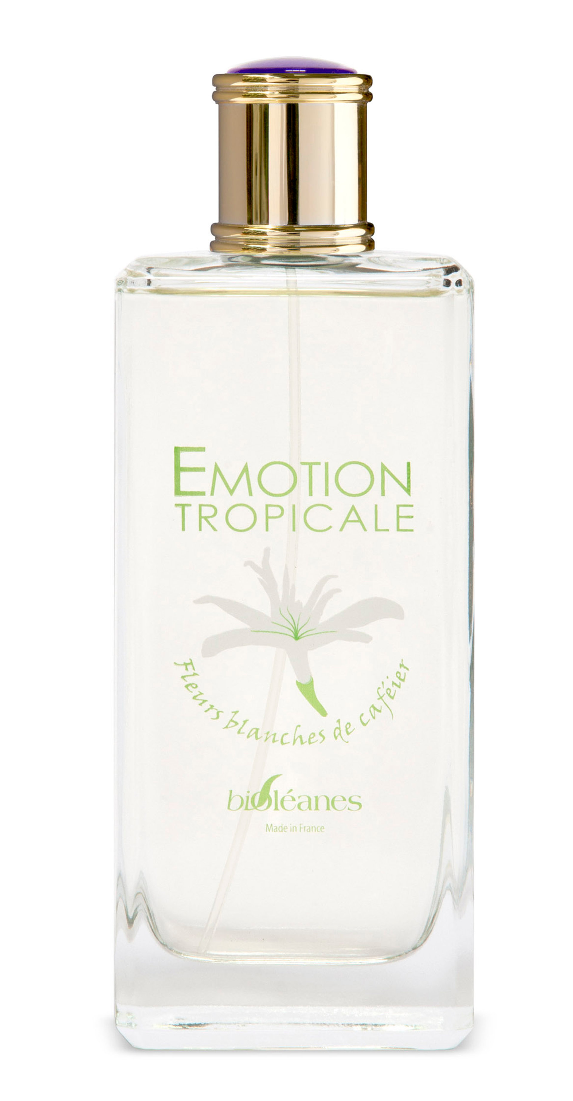 Picture of Emotion Tropicale fragrance