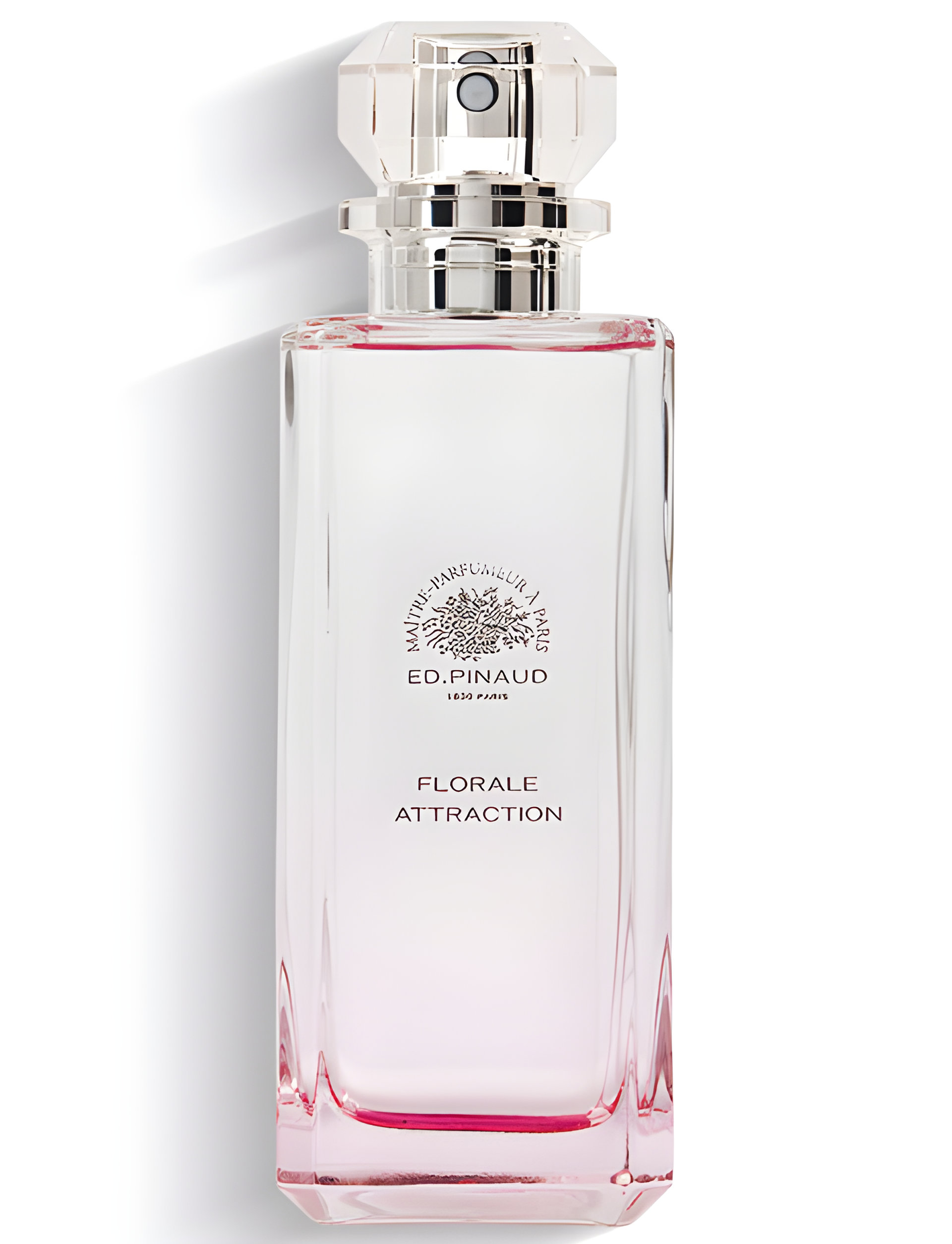 Picture of Florale Attraction fragrance