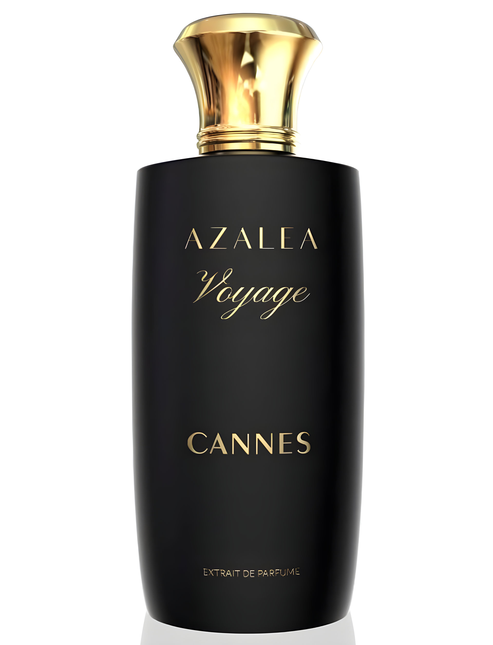 Picture of Cannes fragrance