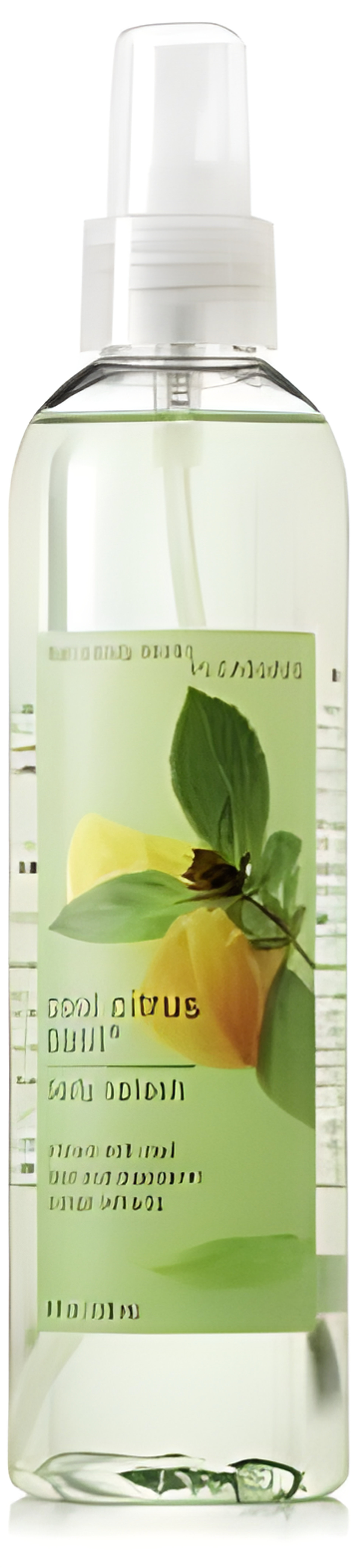 Picture of Cool Citrus Basil fragrance
