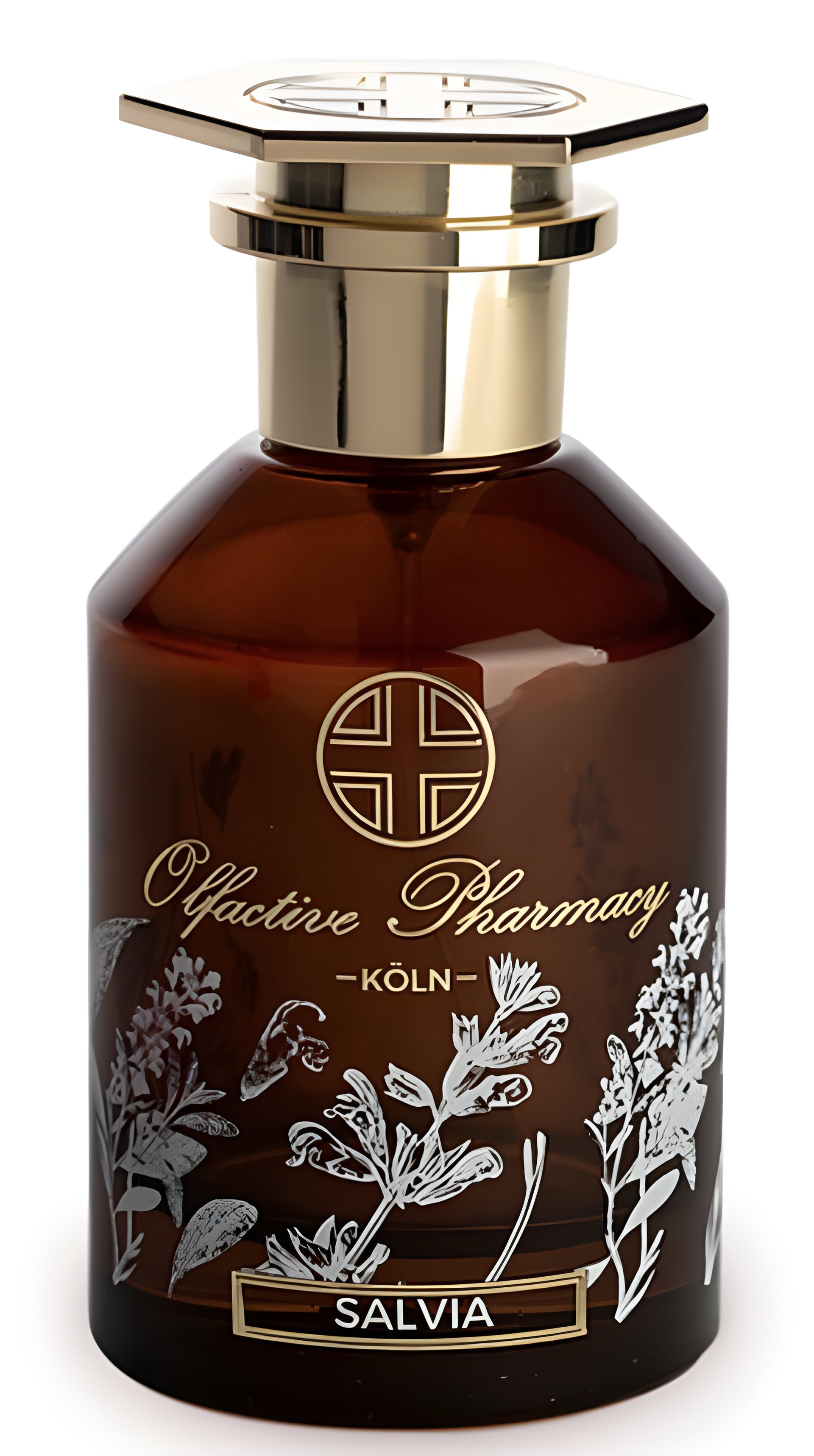 Picture of Salvia fragrance