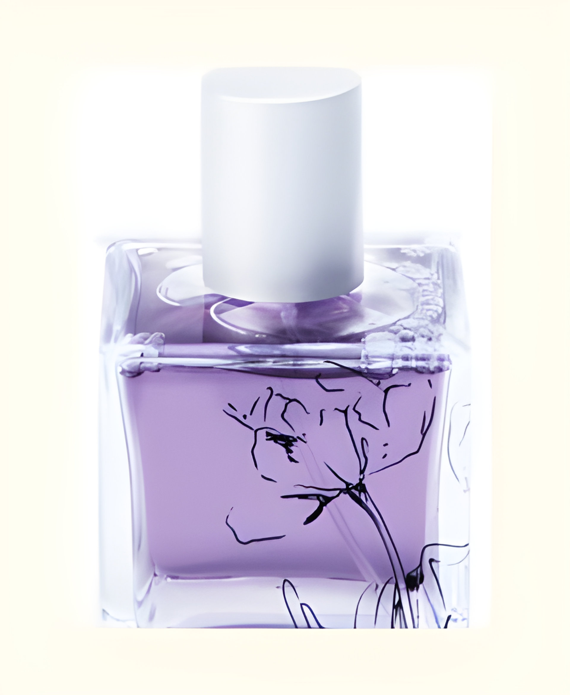 Picture of Sands of Morocco fragrance