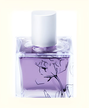 Sands of Morocco by Infusion Organique perfume bottle