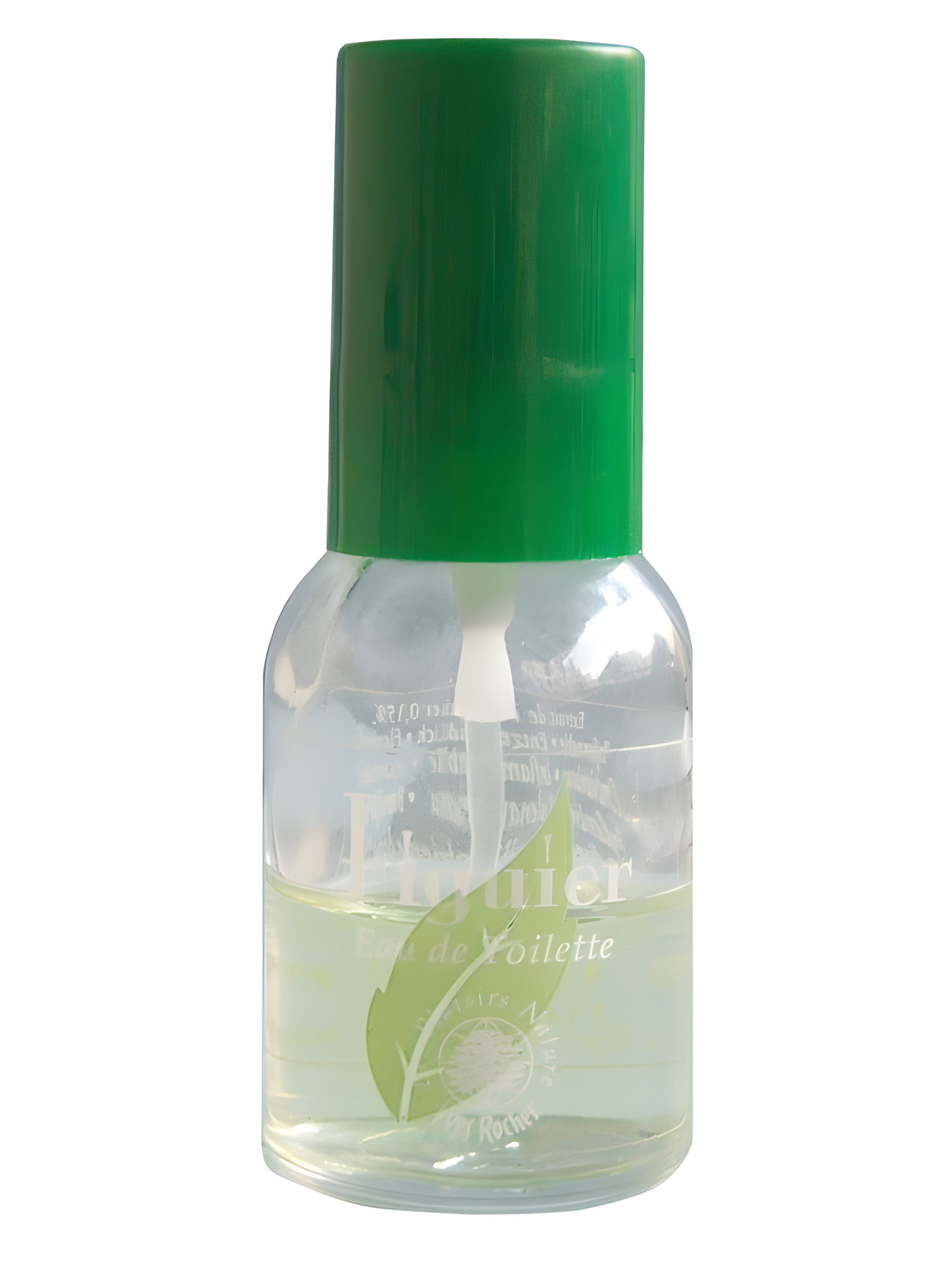 Picture of Figuier fragrance