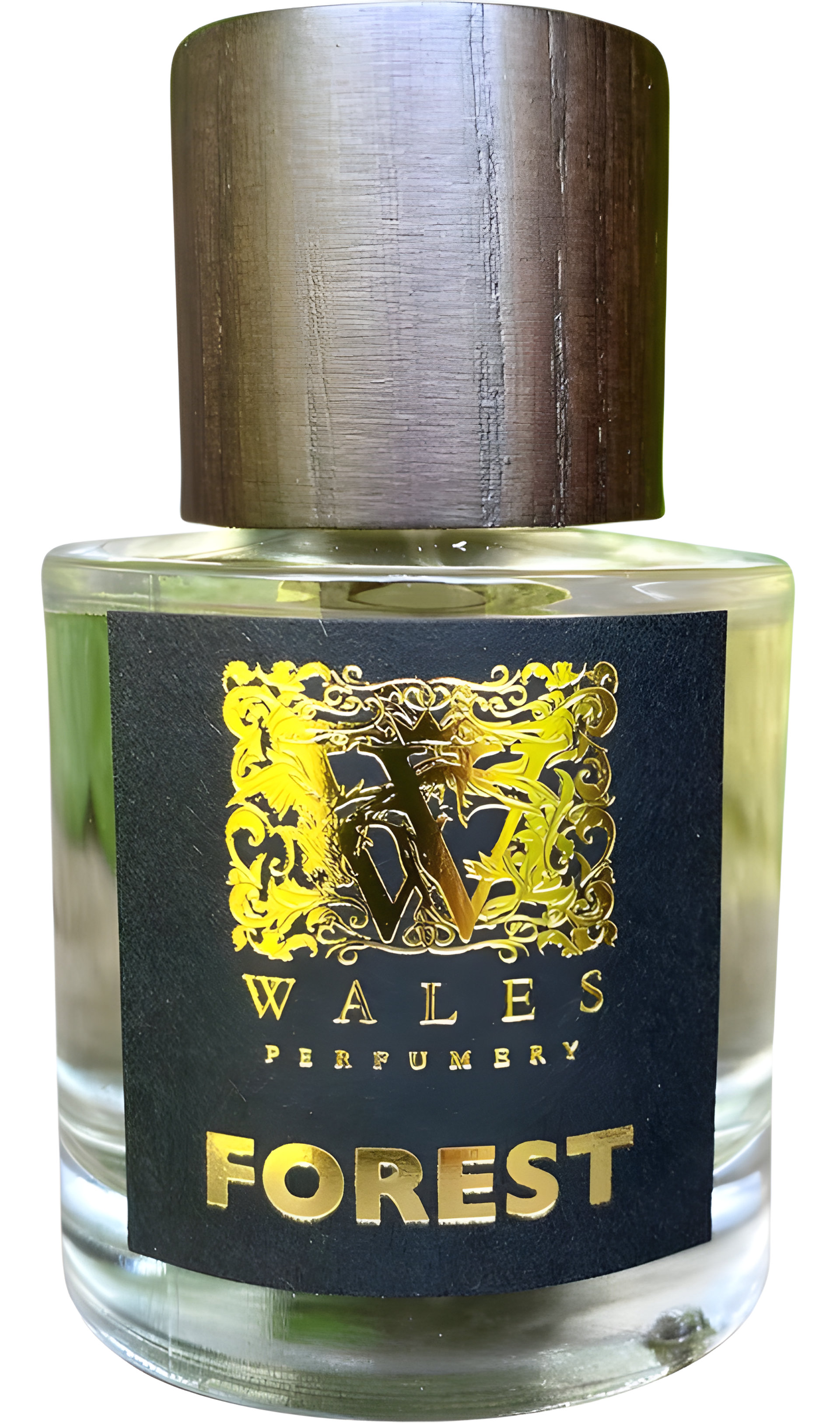 Picture of Forest fragrance