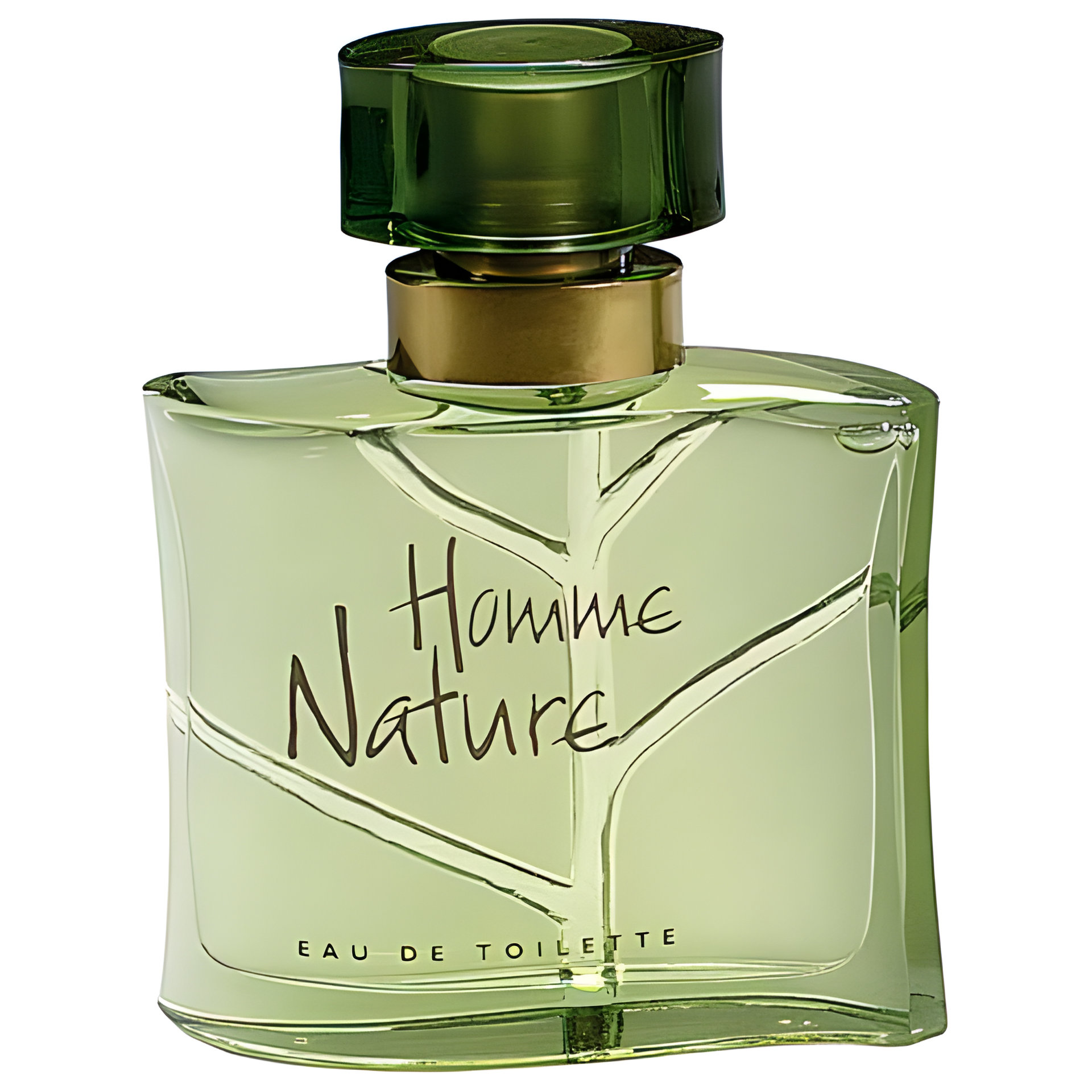 Picture of Homme Nature fragrance