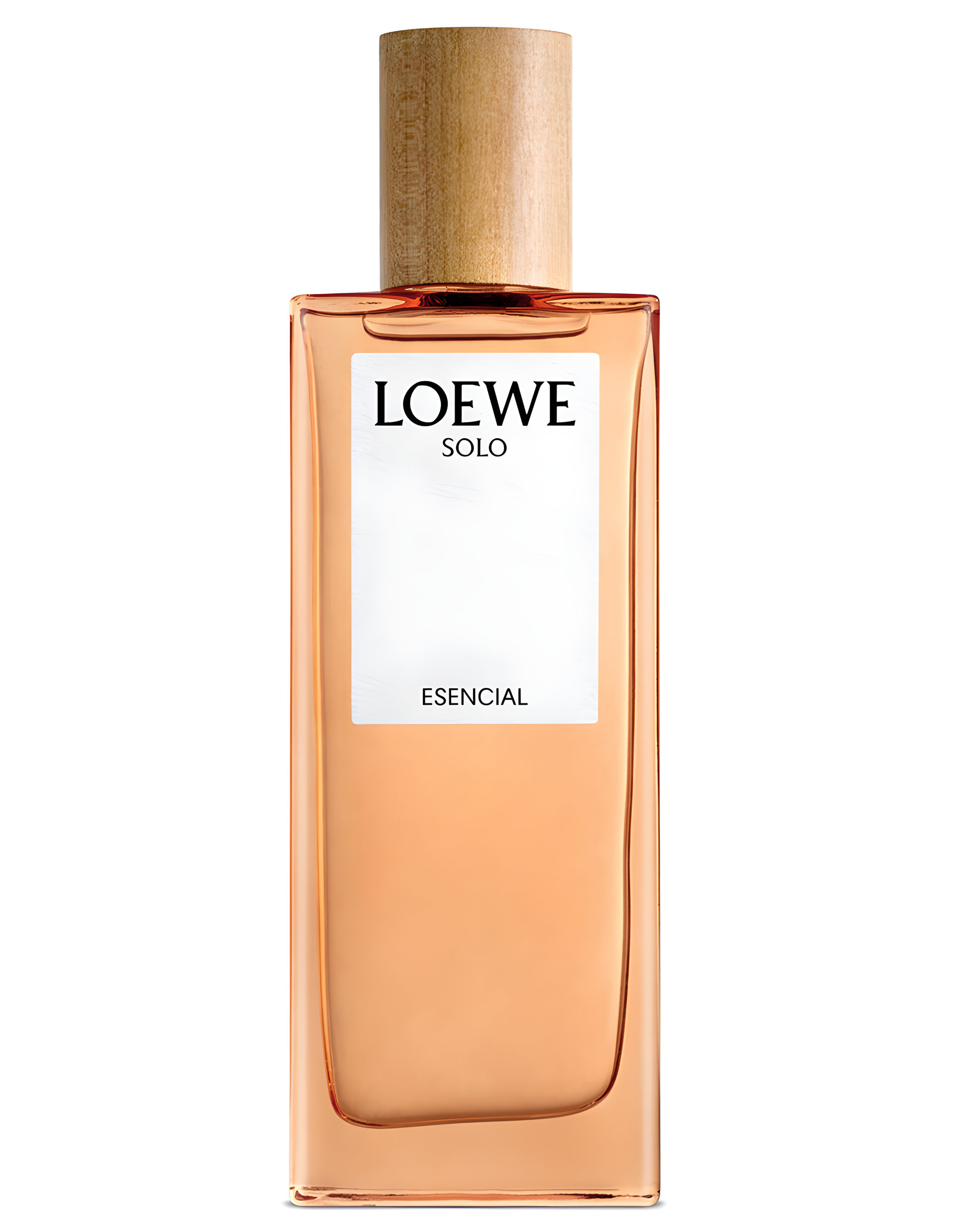 Picture of Solo Loewe Esencial fragrance